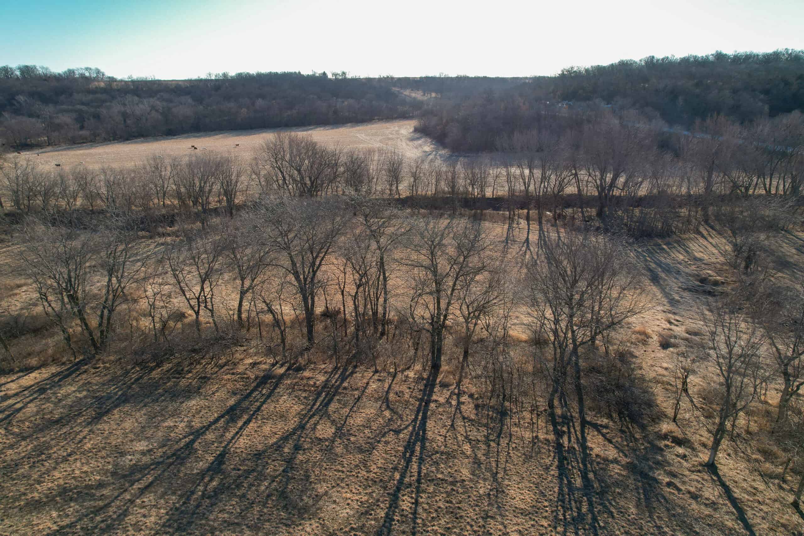 Productive Row Crop & Mixed-Use Investment Near the Mahaska County Line