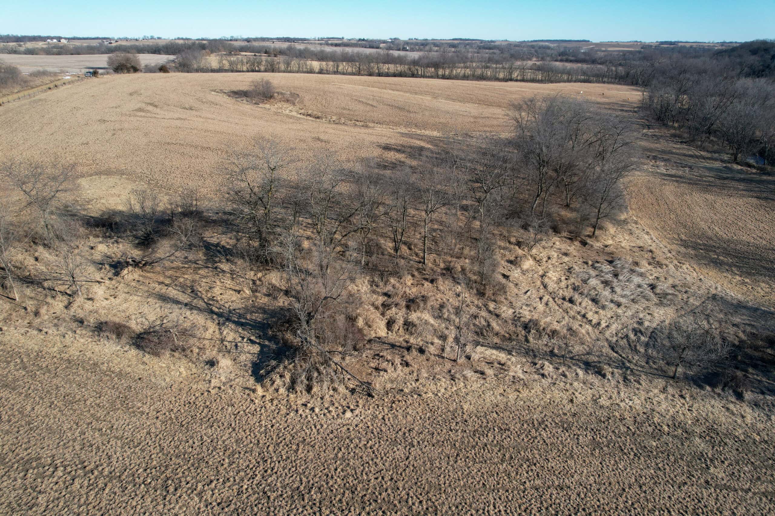 Productive Row Crop & Mixed-Use Investment Near the Mahaska County Line