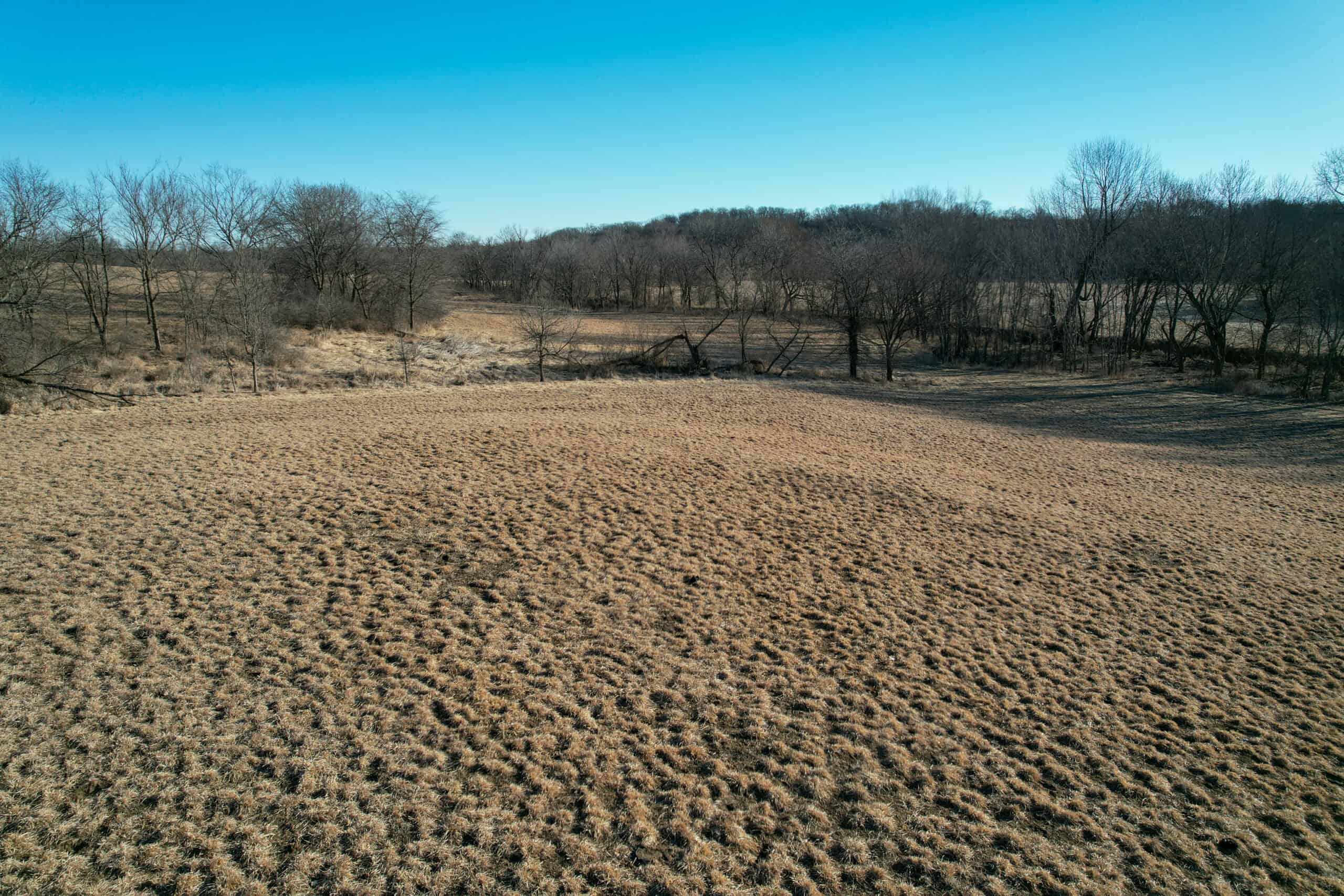 Productive Row Crop & Mixed-Use Investment Near the Mahaska County Line