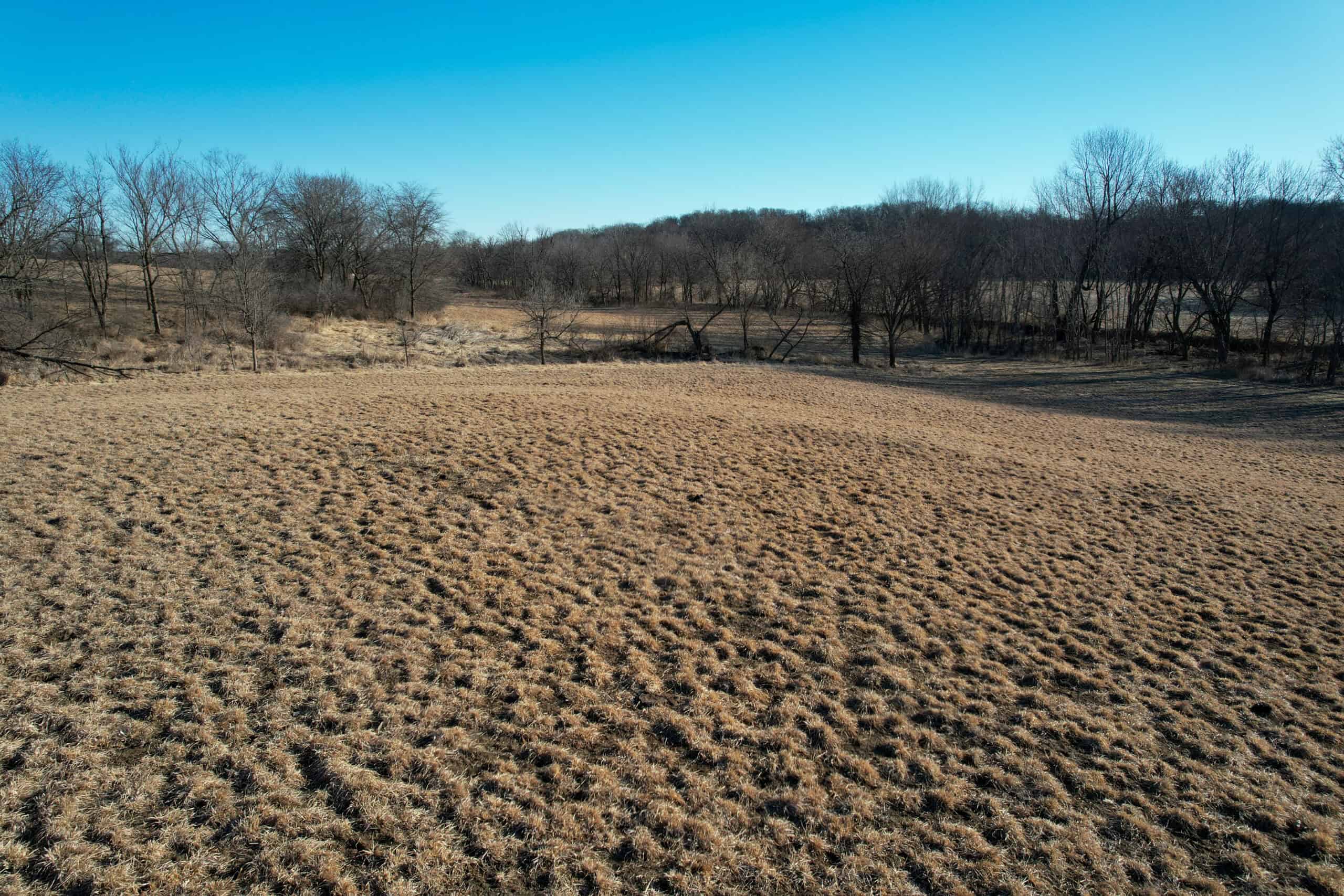 Productive Row Crop & Mixed-Use Investment Near the Mahaska County Line