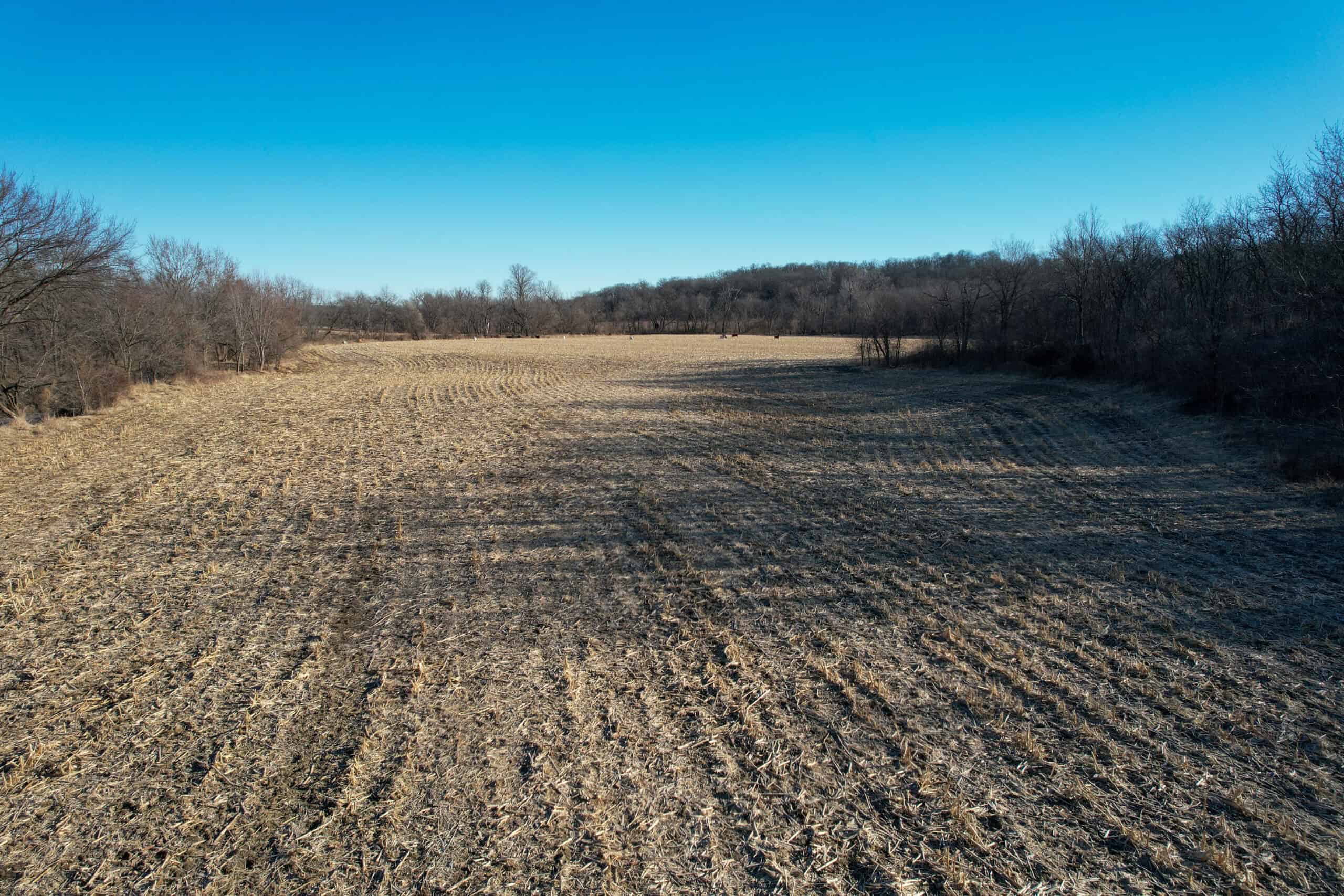 Productive Row Crop & Mixed-Use Investment Near the Mahaska County Line