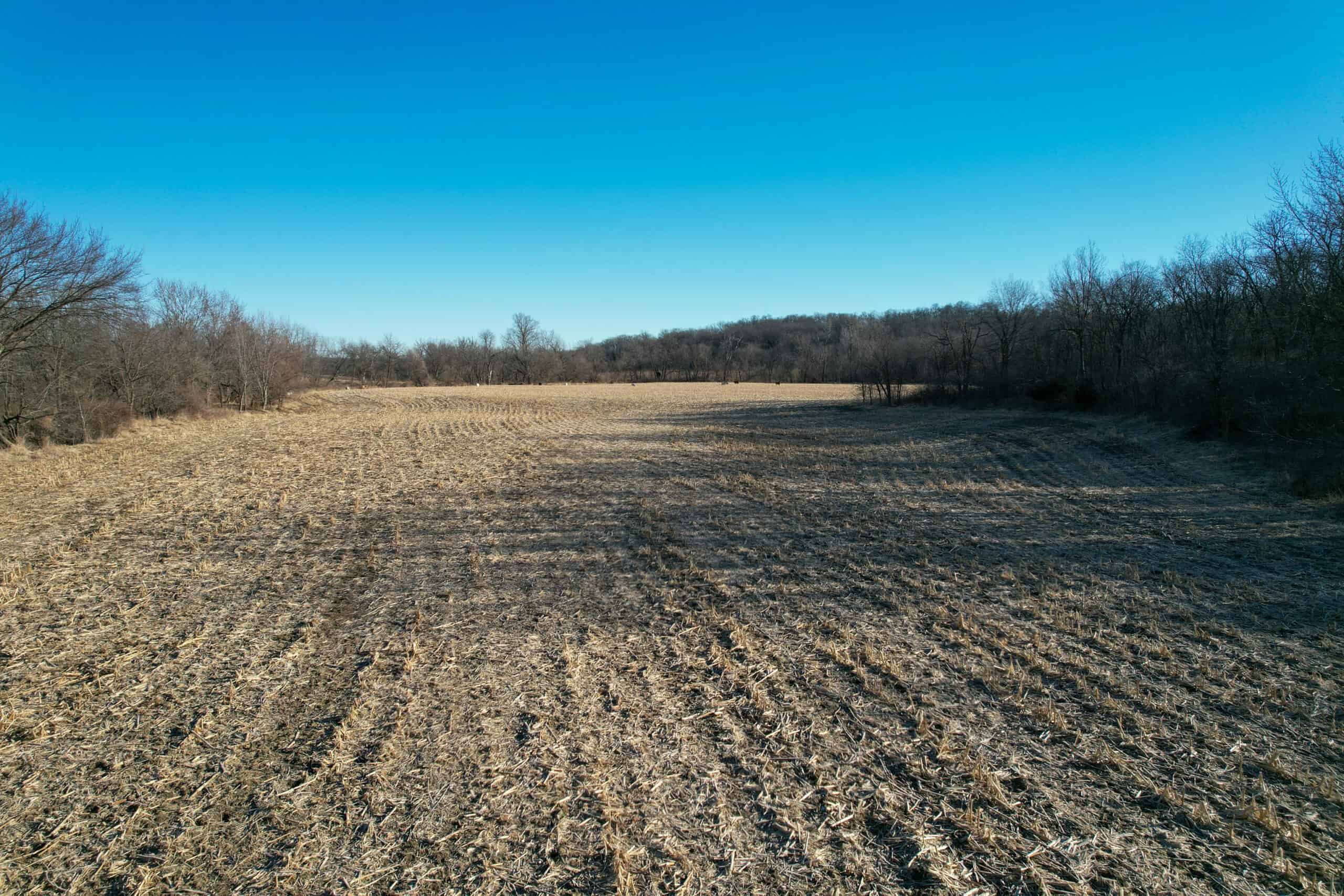 Productive Row Crop & Mixed-Use Investment Near the Mahaska County Line