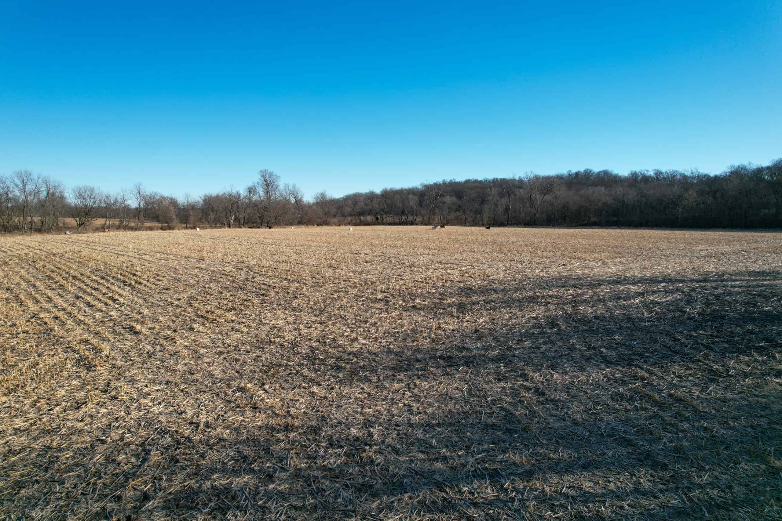 Productive Row Crop & Mixed-Use Investment Near the Mahaska County Line