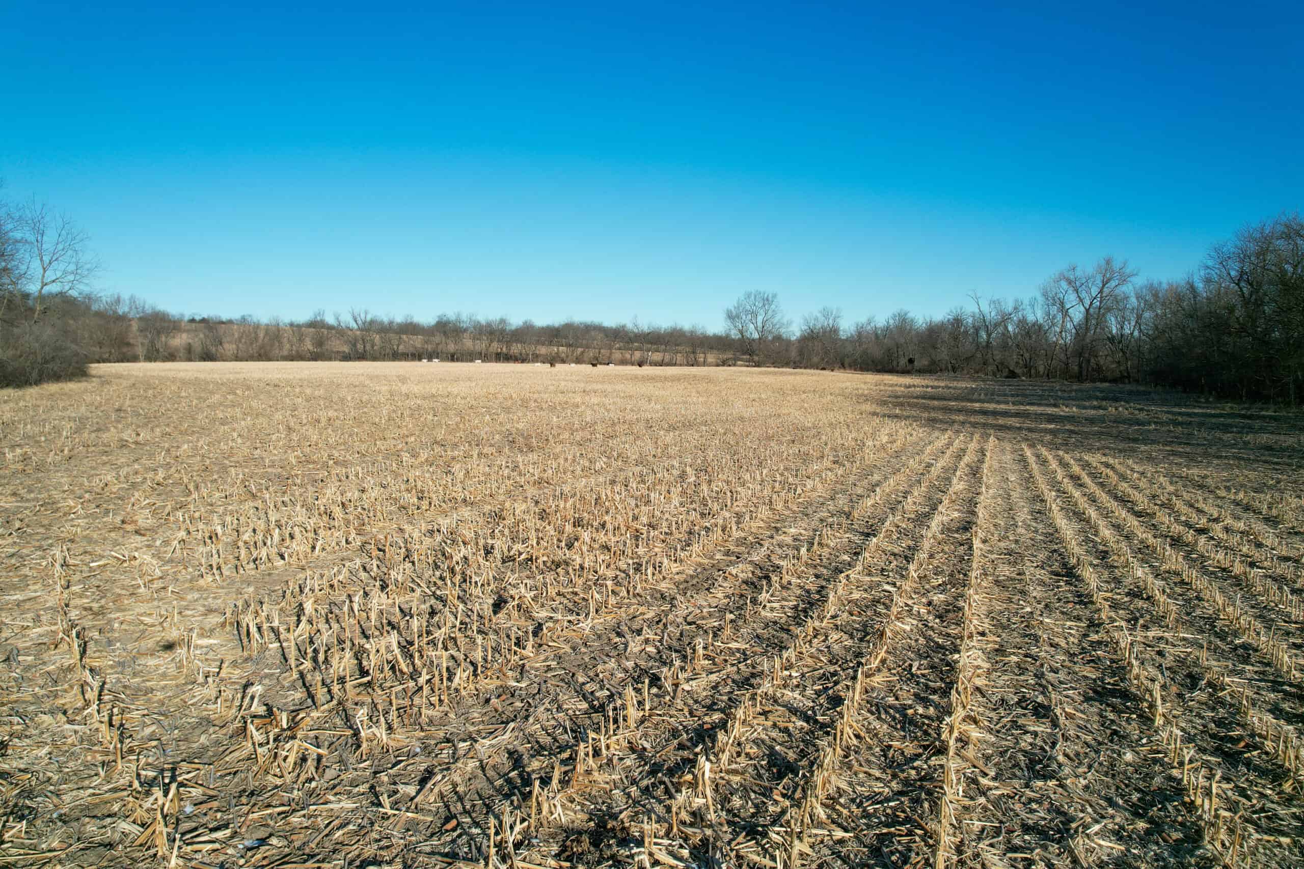 Productive Row Crop & Mixed-Use Investment Near the Mahaska County Line