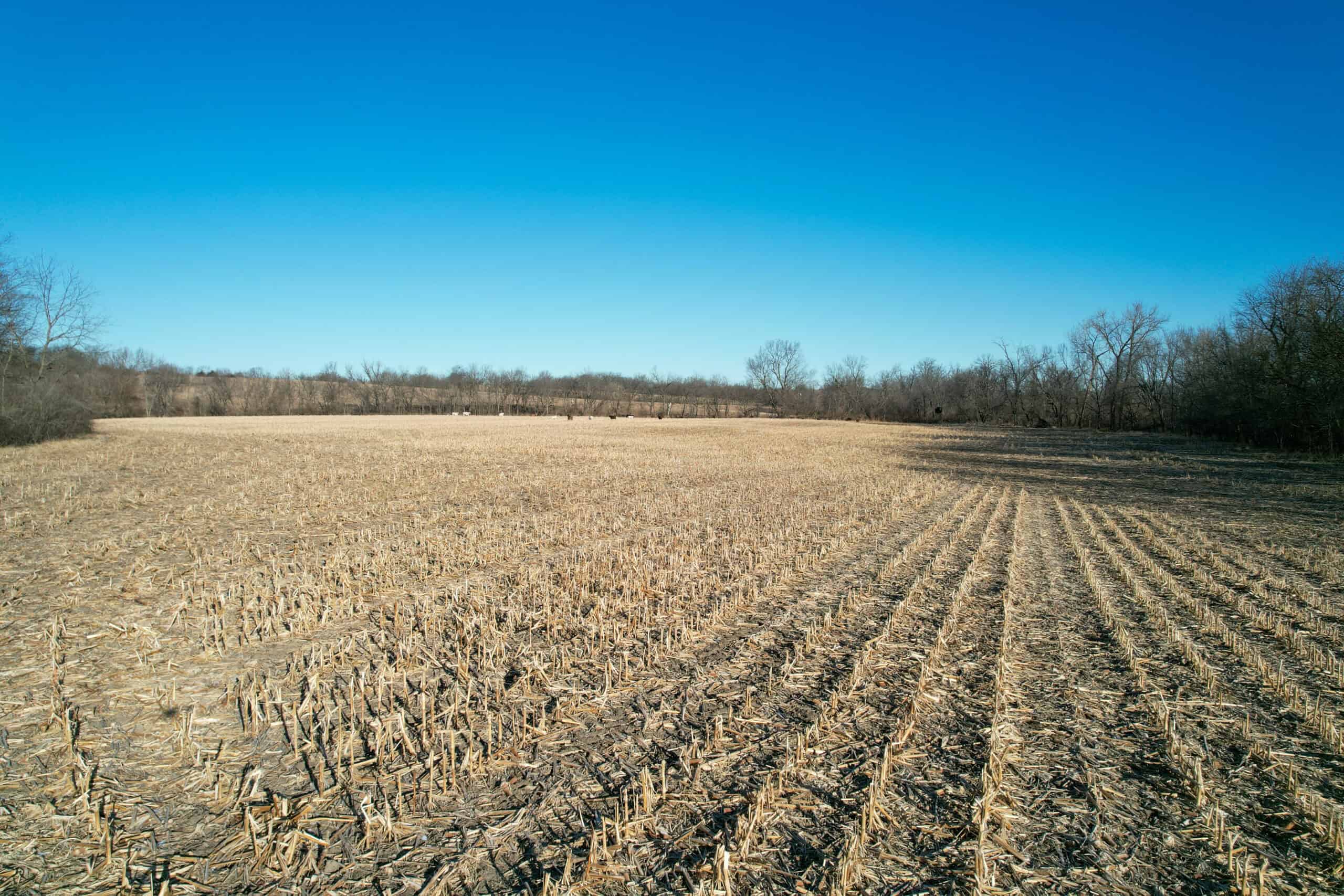 Productive Row Crop & Mixed-Use Investment Near the Mahaska County Line