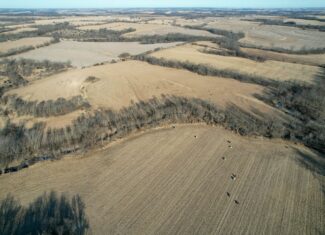 Productive Row Crop & Mixed-Use Investment Near the Mahaska County Line