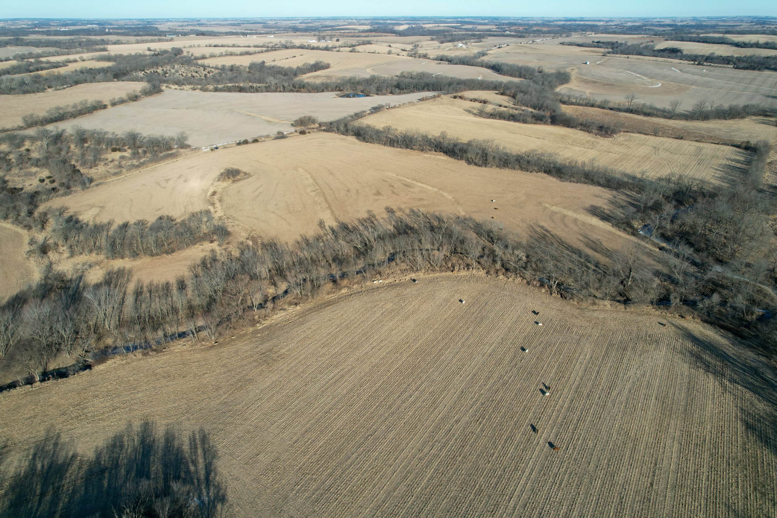 Productive Row Crop & Mixed-Use Investment Near the Mahaska County Line