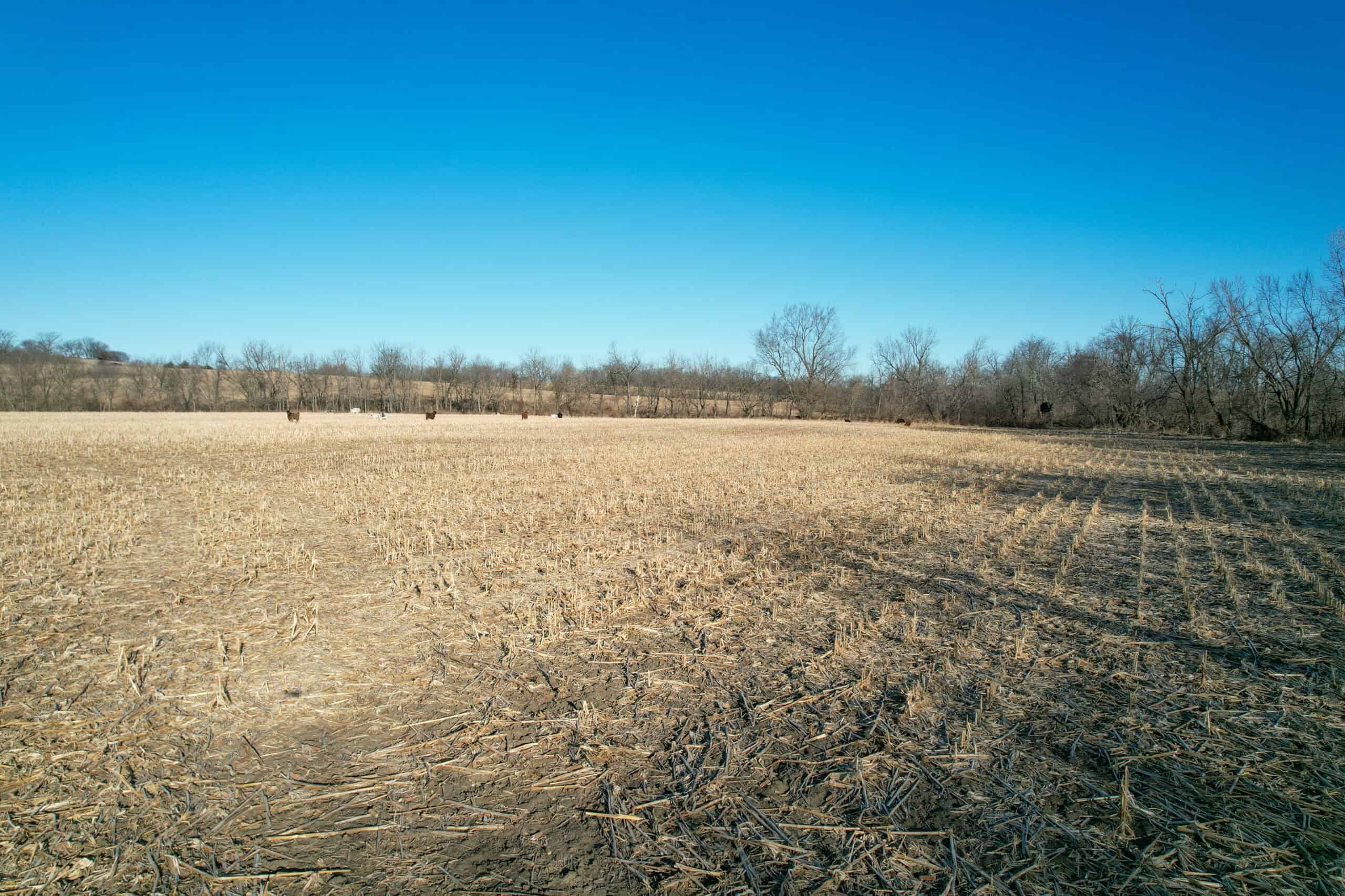 Productive Row Crop & Mixed-Use Investment Near the Mahaska County Line