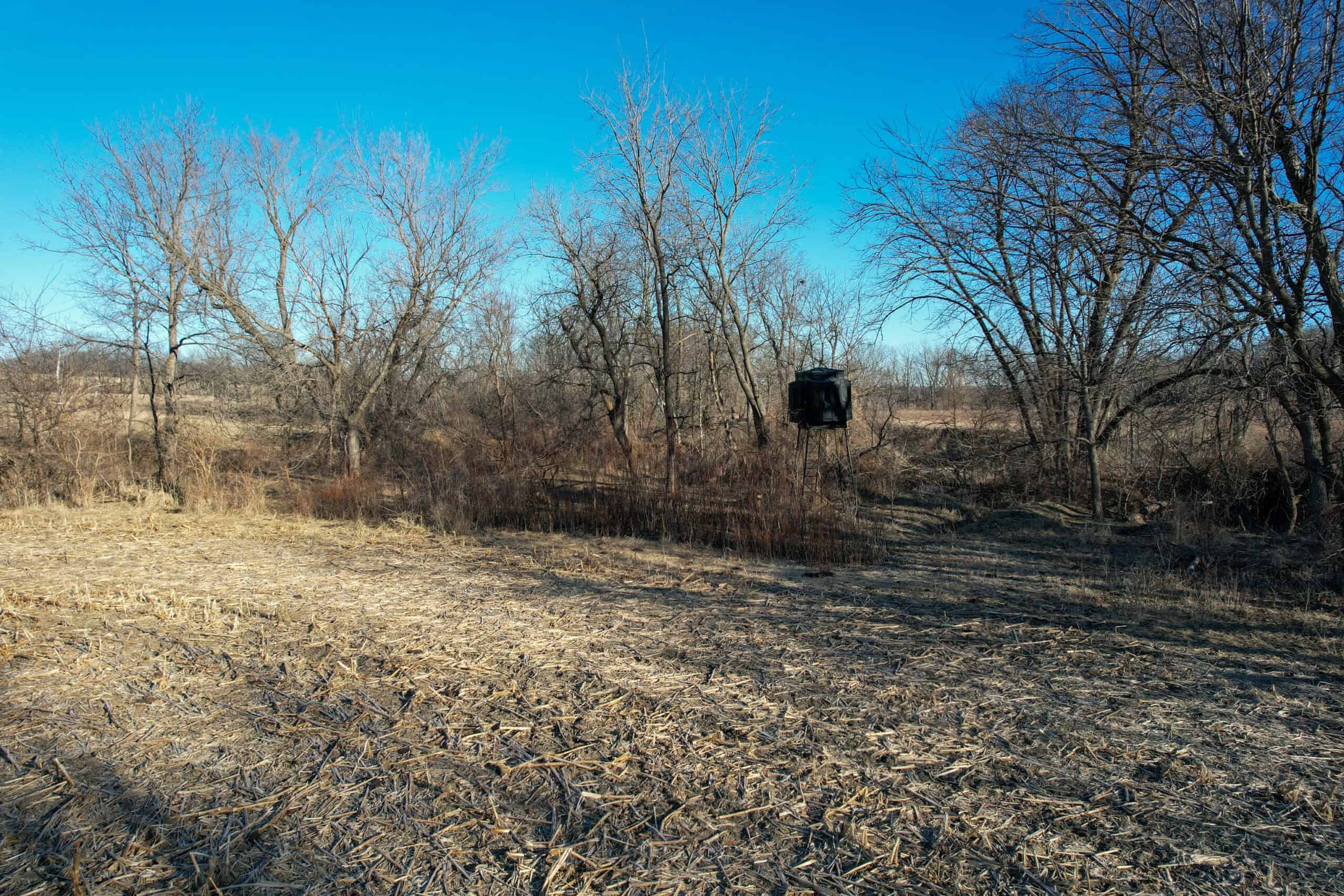 Productive Row Crop & Mixed-Use Investment Near the Mahaska County Line