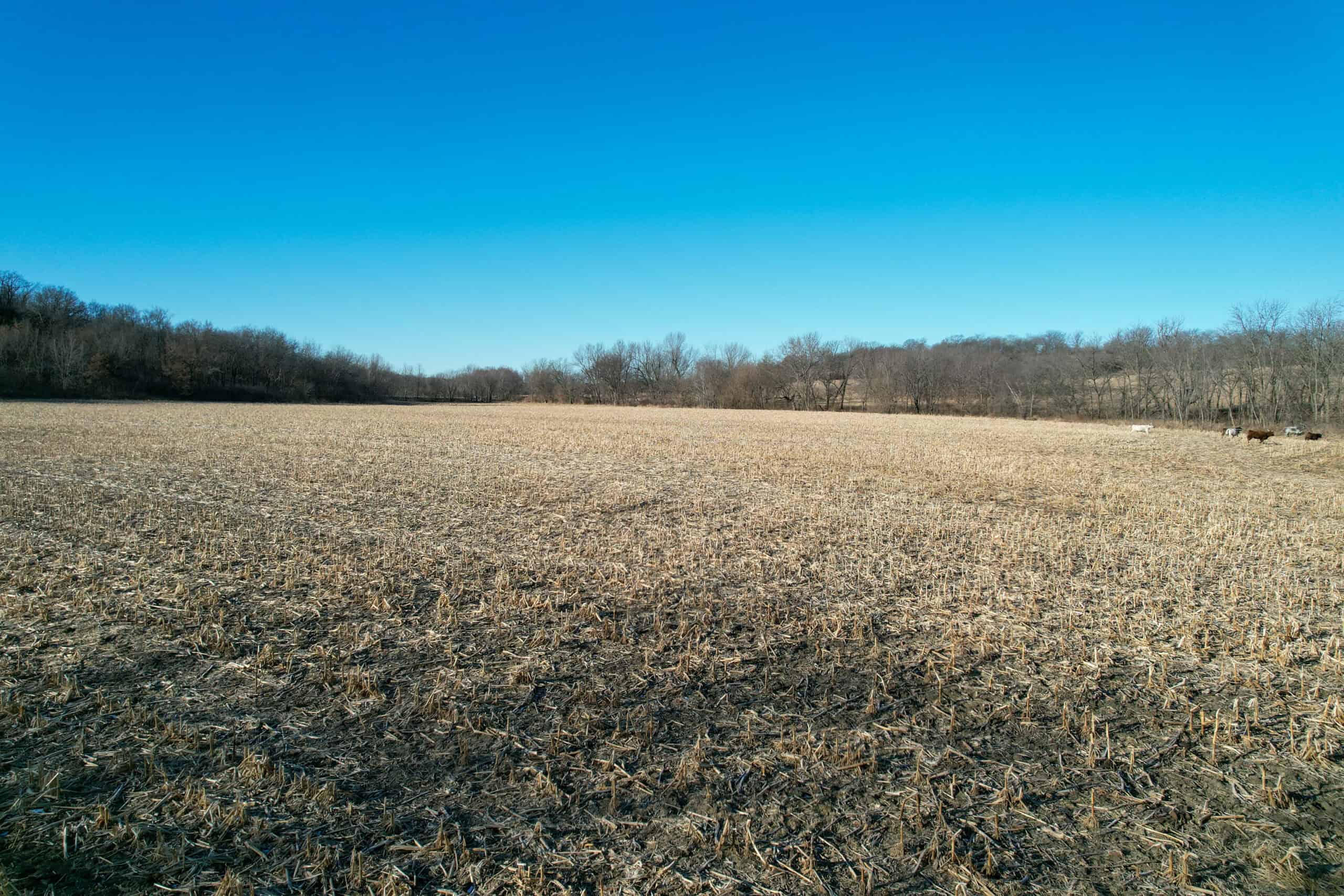 Productive Row Crop & Mixed-Use Investment Near the Mahaska County Line
