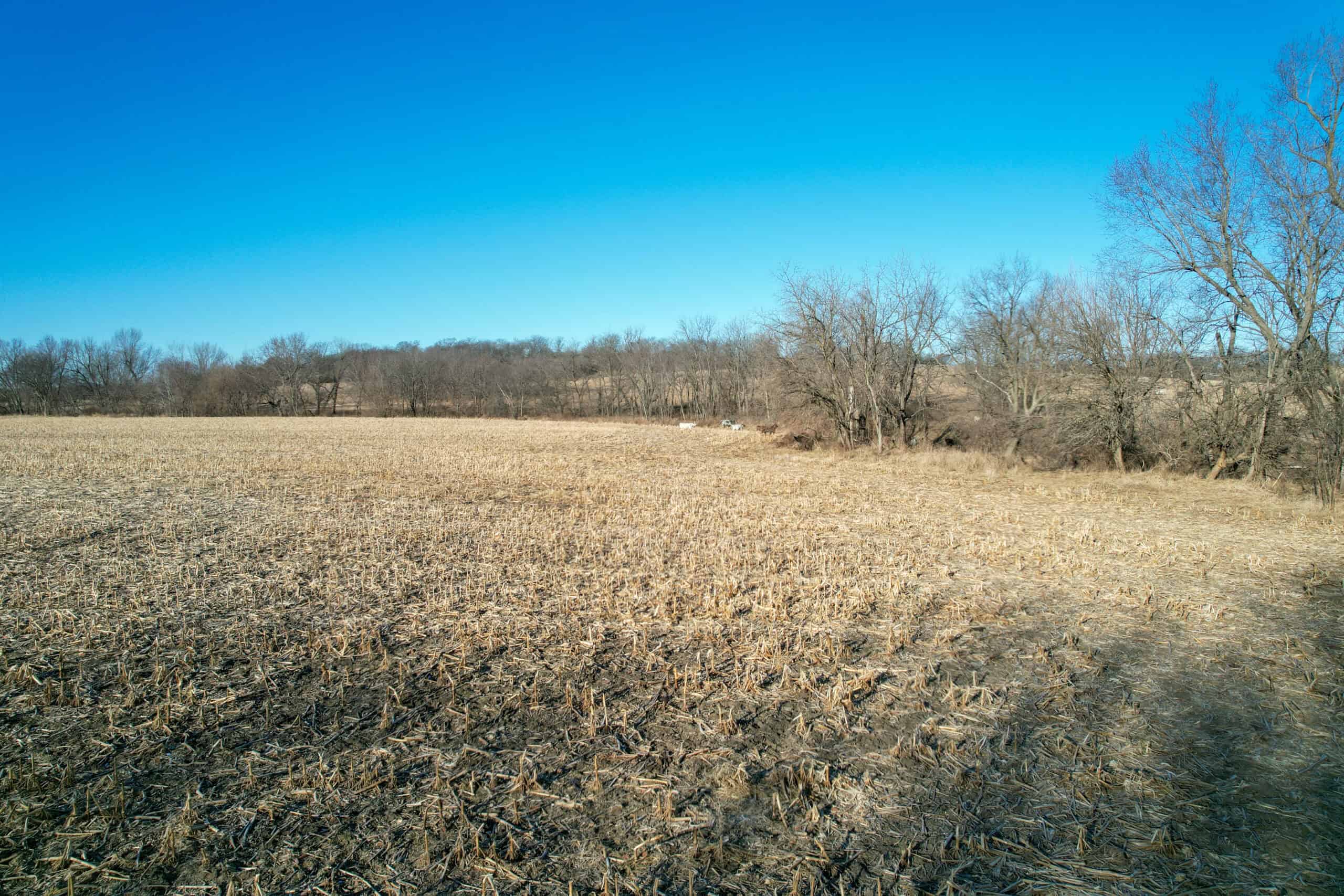 Productive Row Crop & Mixed-Use Investment Near the Mahaska County Line