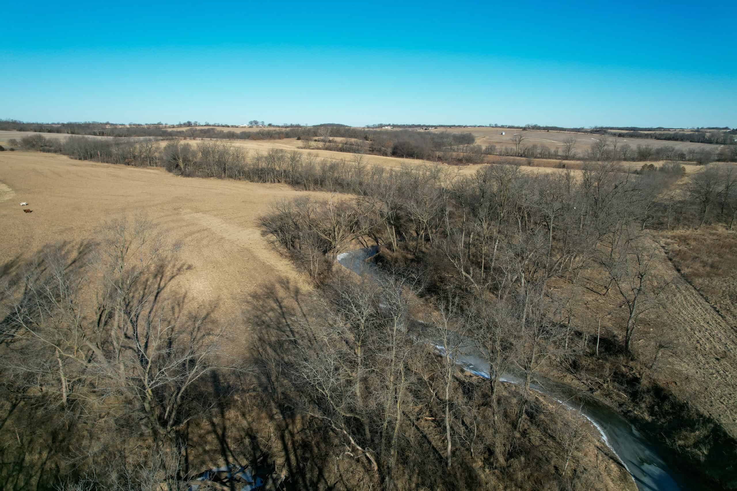 Productive Row Crop & Mixed-Use Investment Near the Mahaska County Line