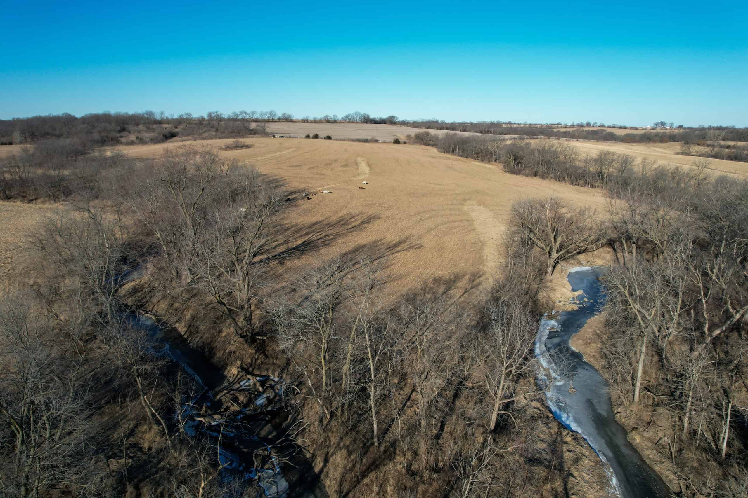 Productive Row Crop & Mixed-Use Investment Near the Mahaska County Line