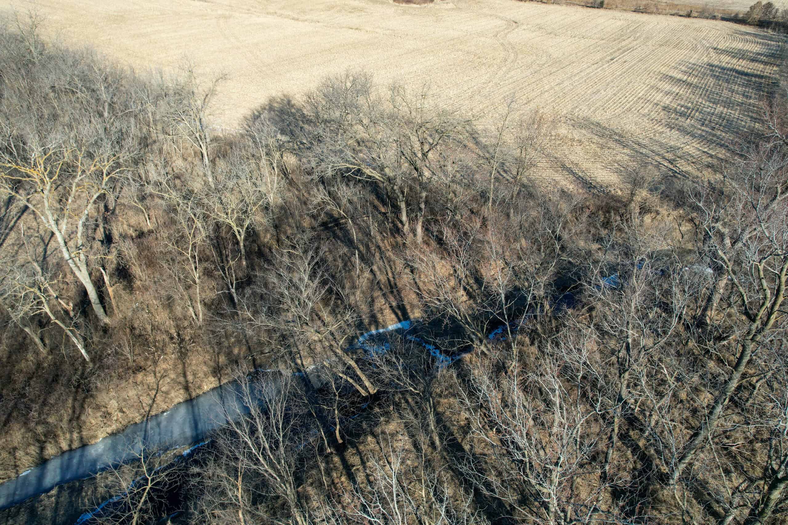 Productive Row Crop & Mixed-Use Investment Near the Mahaska County Line