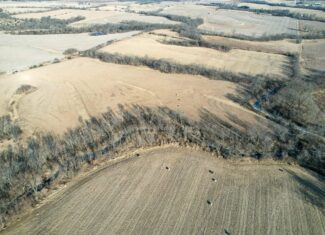 Productive Row Crop & Mixed-Use Investment Near the Mahaska County Line