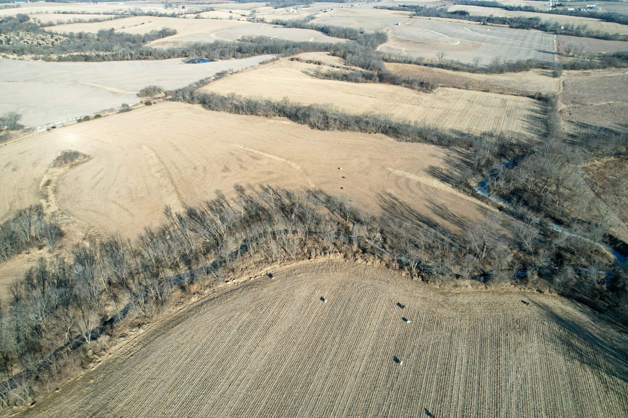 Productive Row Crop & Mixed-Use Investment Near the Mahaska County Line
