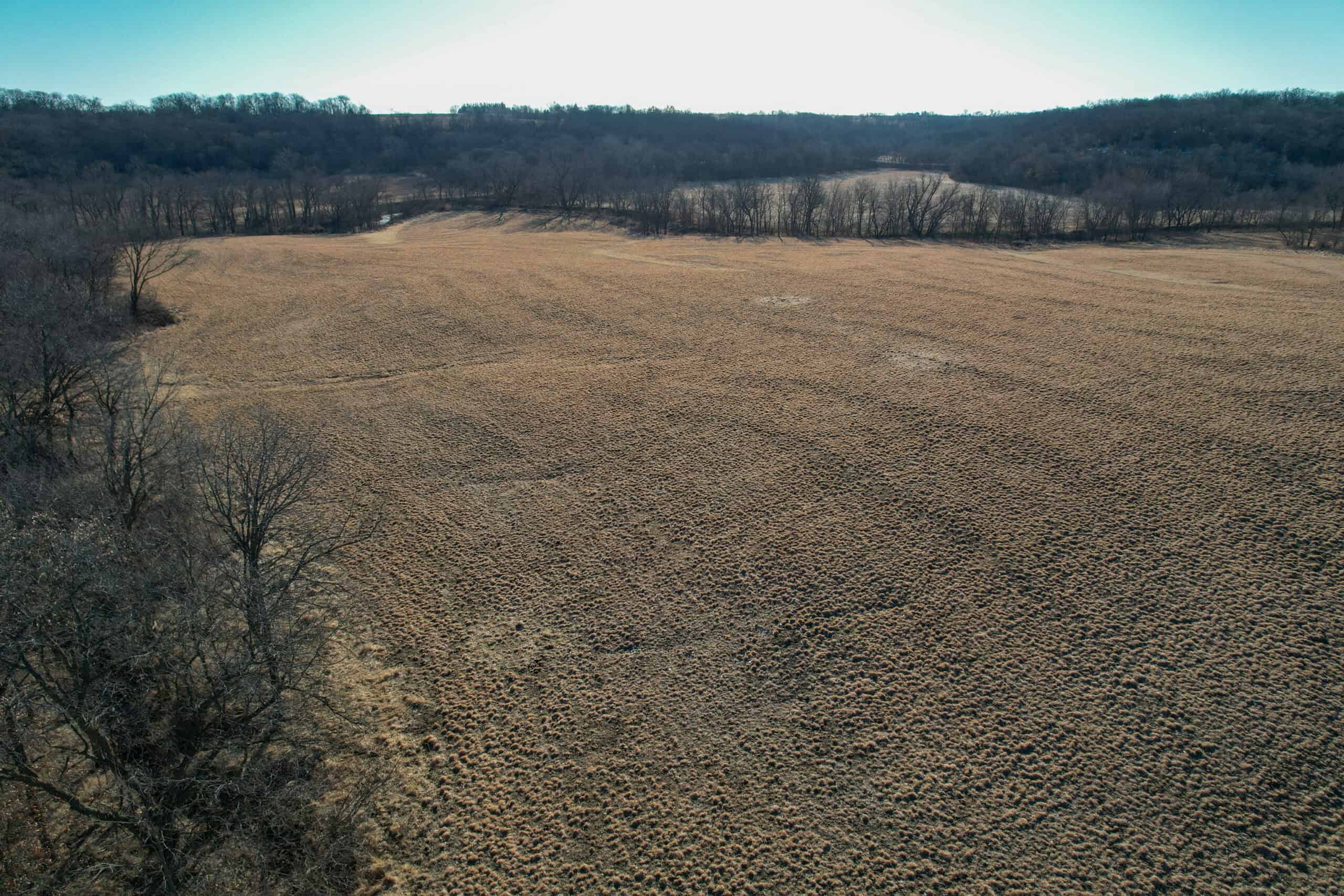 Productive Row Crop & Mixed-Use Investment Near the Mahaska County Line