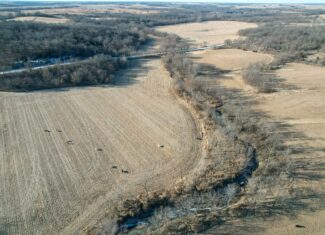 Productive Row Crop & Mixed-Use Investment Near the Mahaska County Line