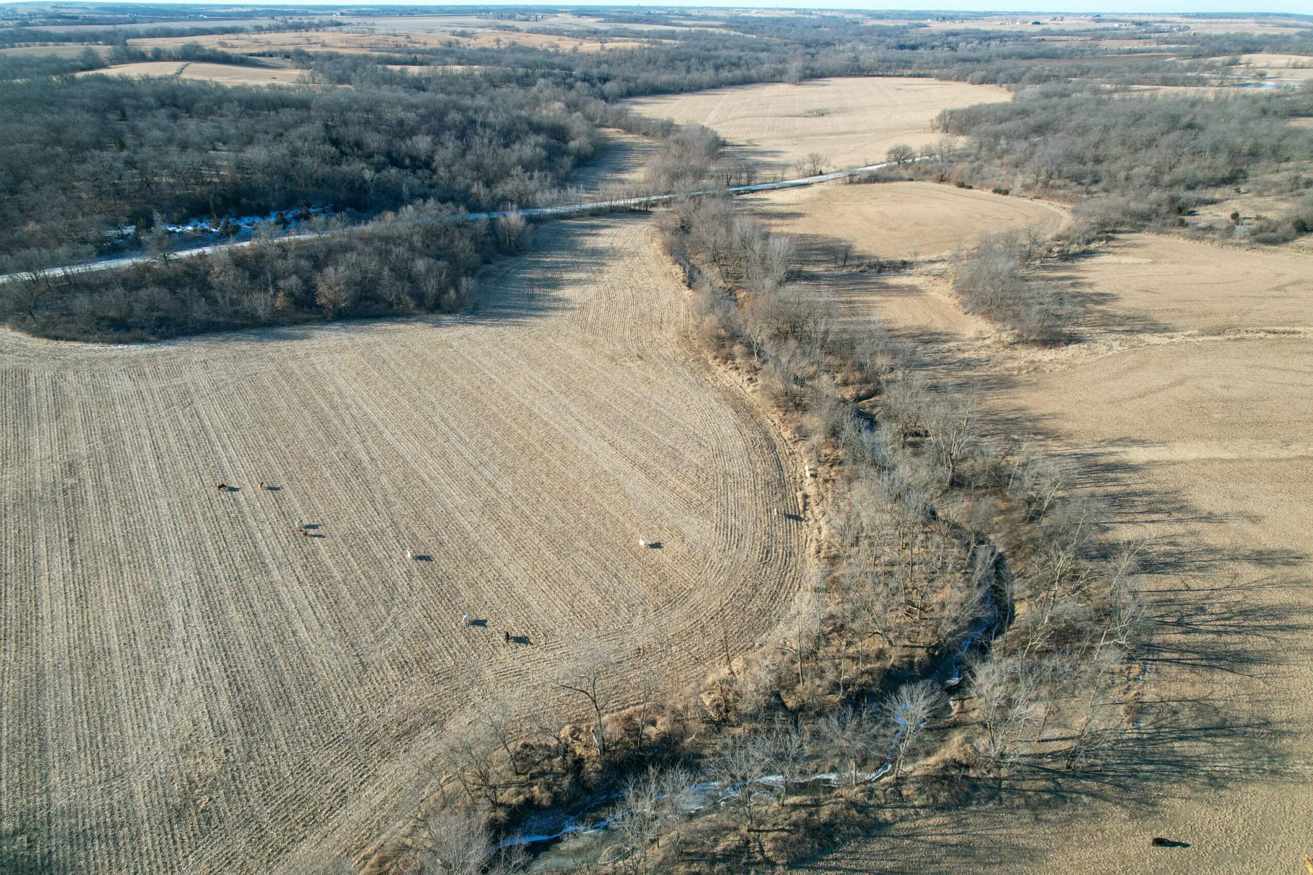 Productive Row Crop & Mixed-Use Investment Near the Mahaska County Line