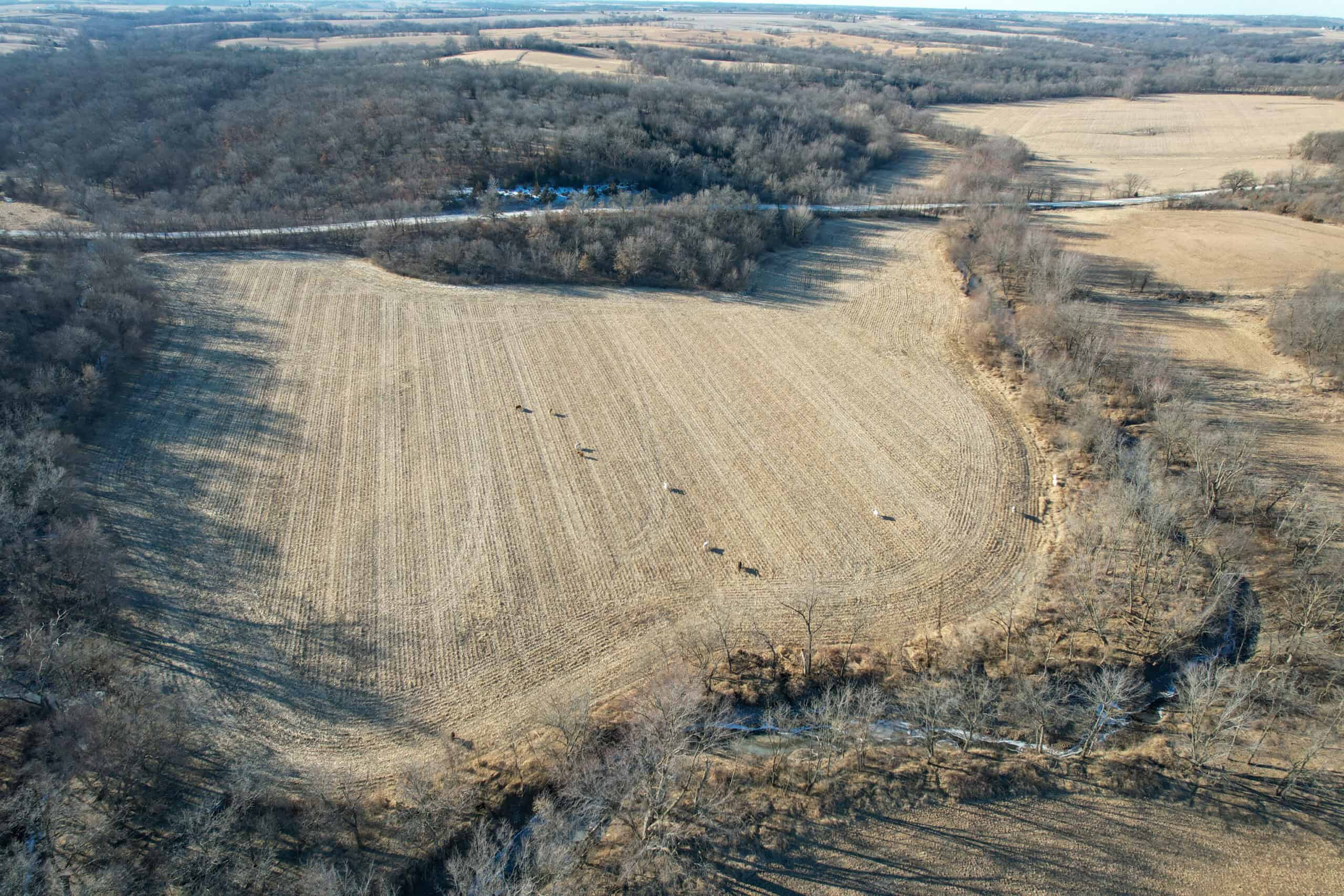 Productive Row Crop & Mixed-Use Investment Near the Mahaska County Line