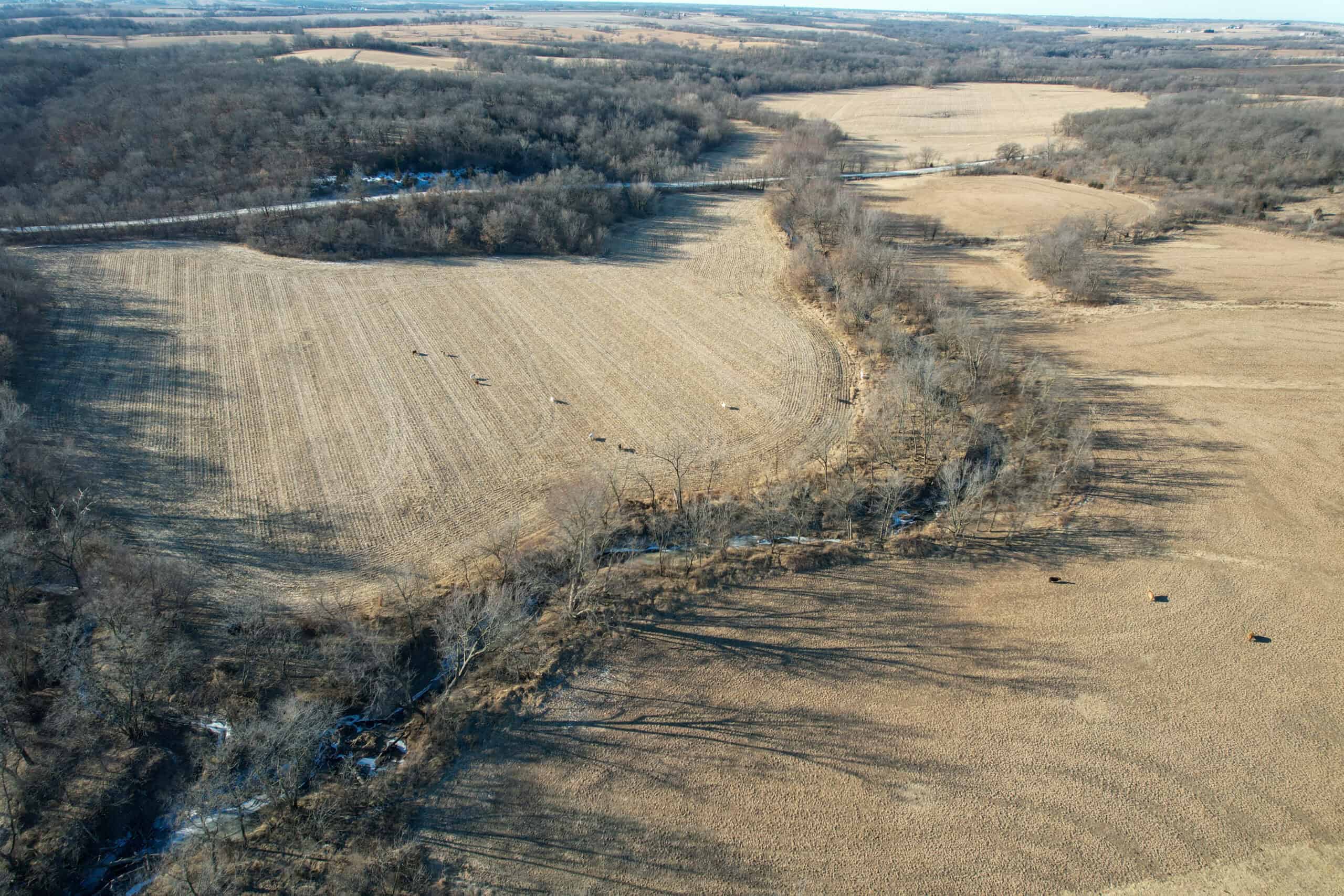 Productive Row Crop & Mixed-Use Investment Near the Mahaska County Line