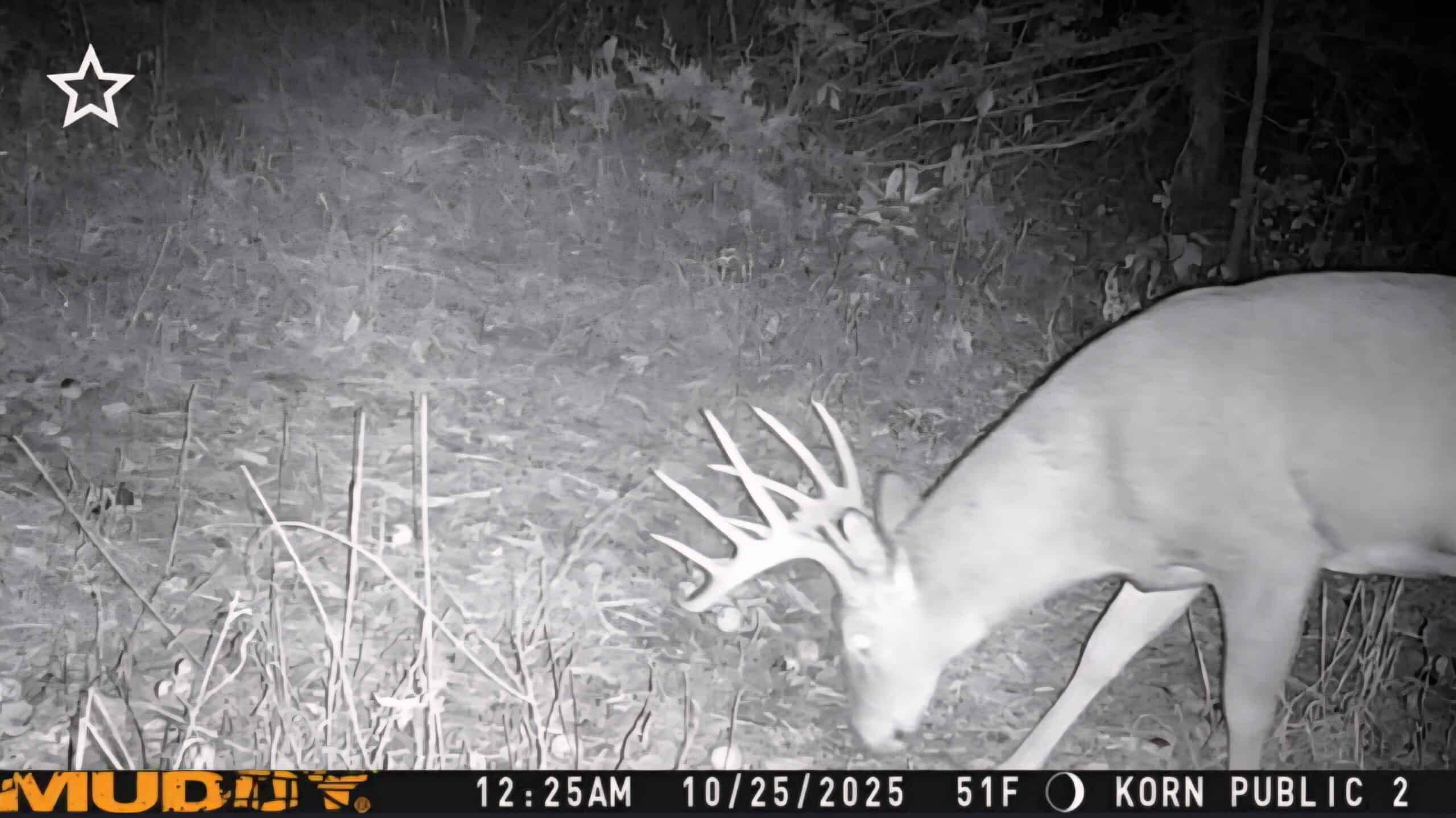 30 Acre m/l Hunting Tract near Wayne Helton Conservation