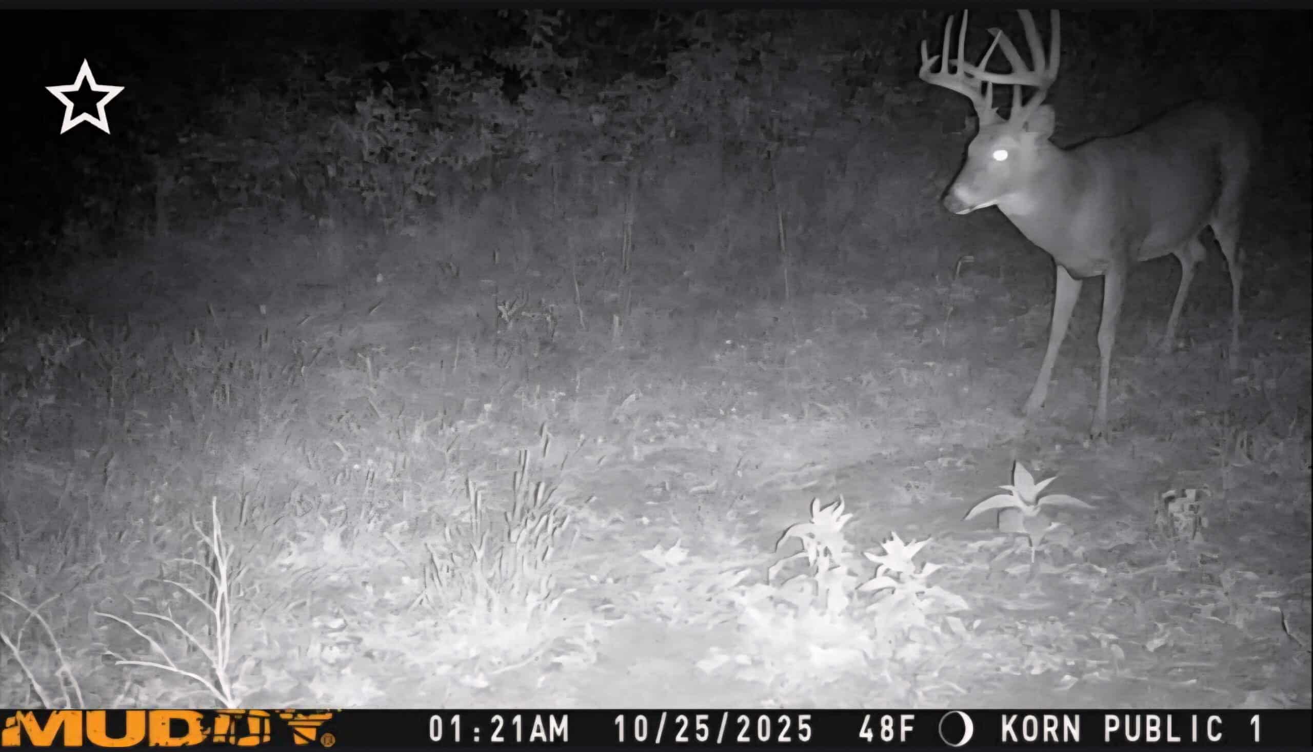 30 Acre m/l Hunting Tract near Wayne Helton Conservation