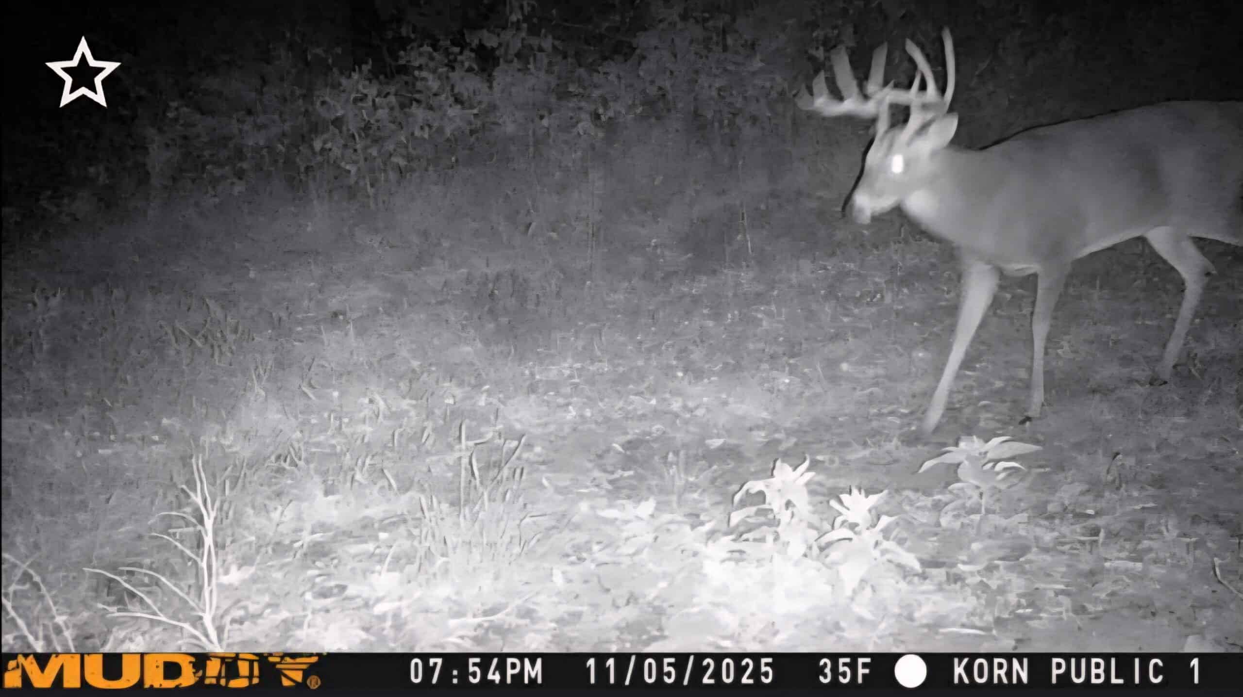 30 Acre m/l Hunting Tract near Wayne Helton Conservation