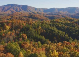Where the Pavement Ends, and Your Legacy Begins: 116 Unrestricted Acres Bordering the Cherokee National Forest