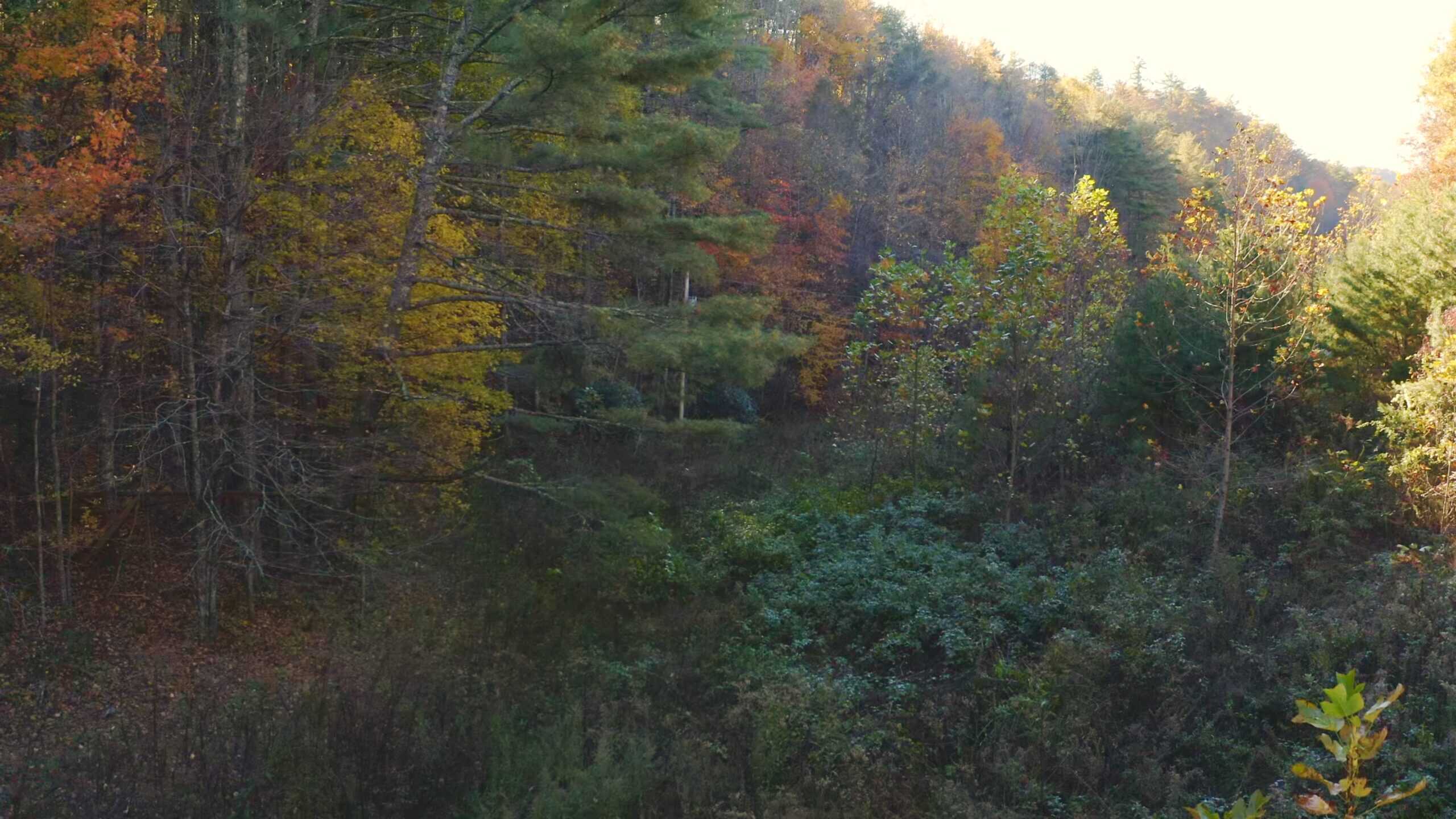 Where the Pavement Ends, and Your Legacy Begins: 116 Unrestricted Acres Bordering the Cherokee National Forest
