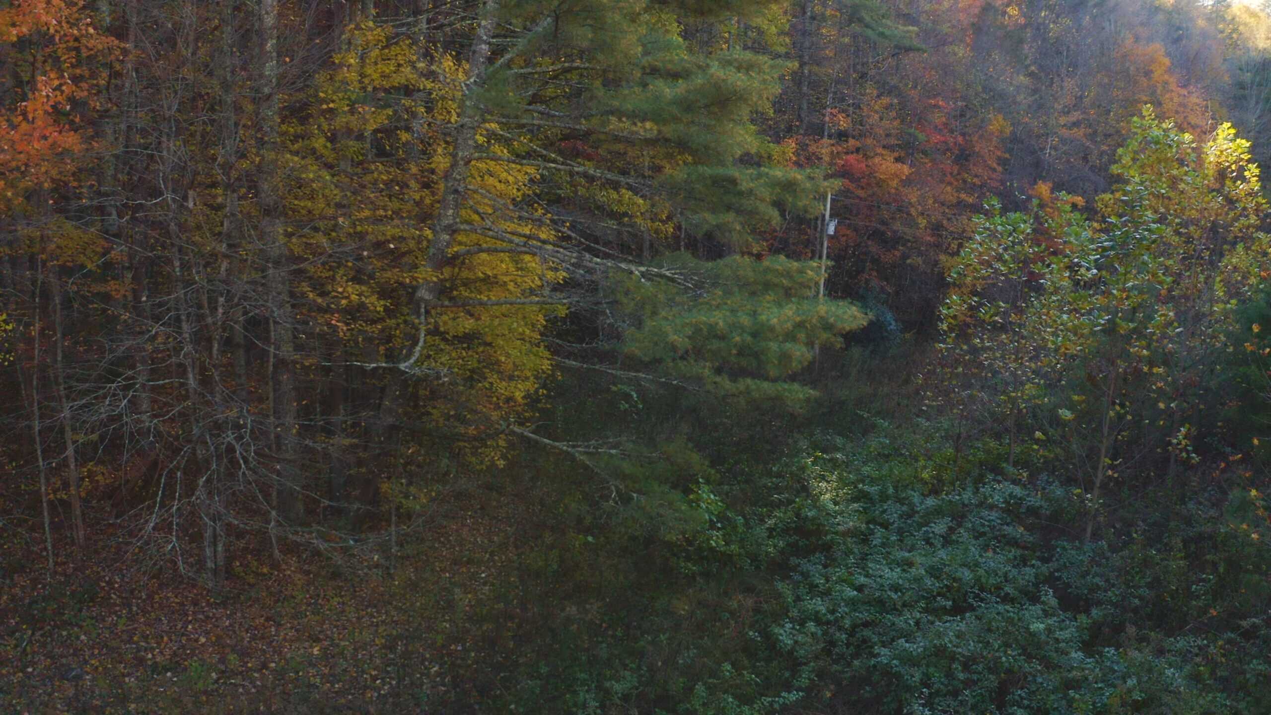 Where the Pavement Ends, and Your Legacy Begins: 116 Unrestricted Acres Bordering the Cherokee National Forest