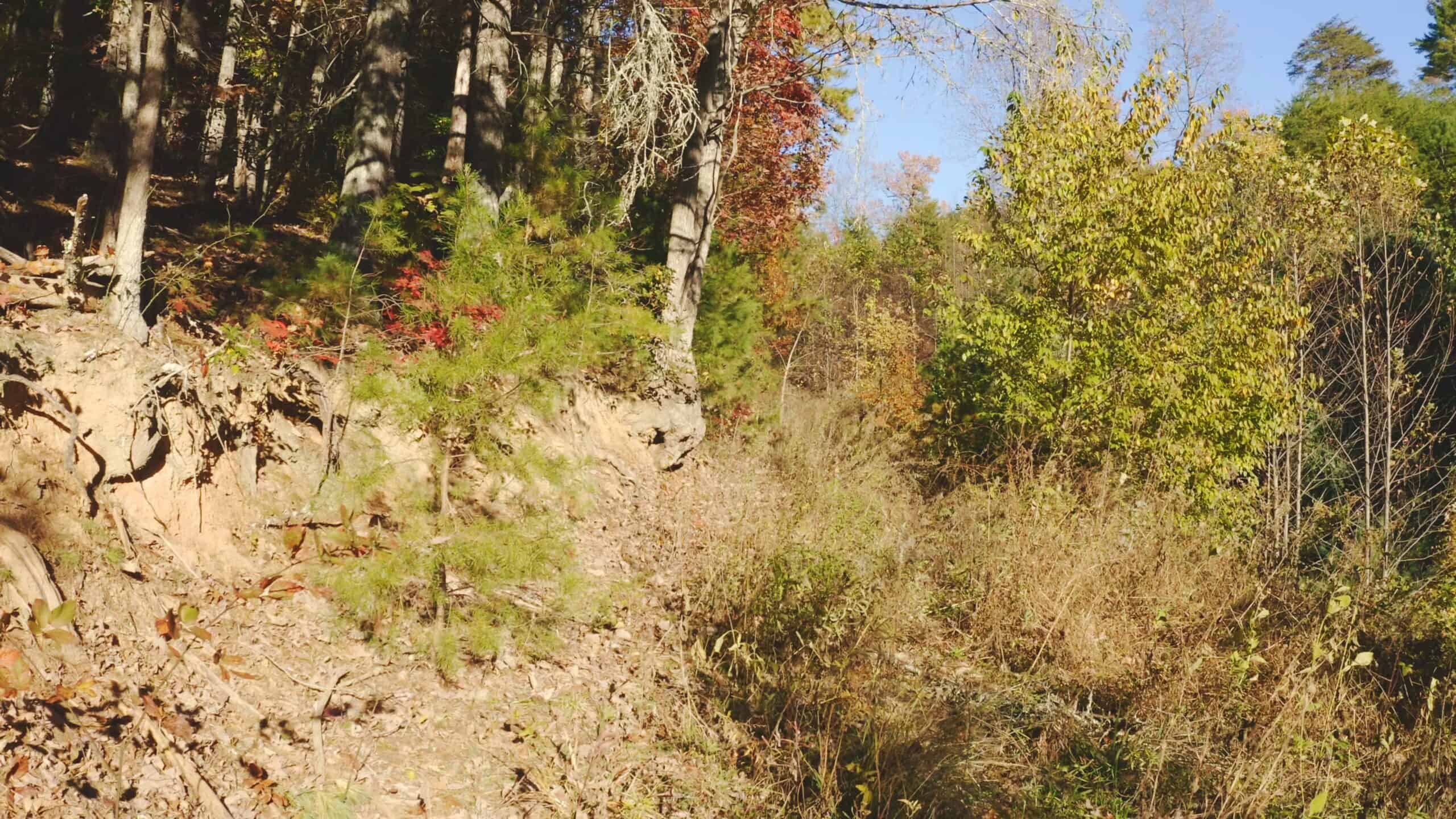 Where the Pavement Ends, and Your Legacy Begins: 116 Unrestricted Acres Bordering the Cherokee National Forest