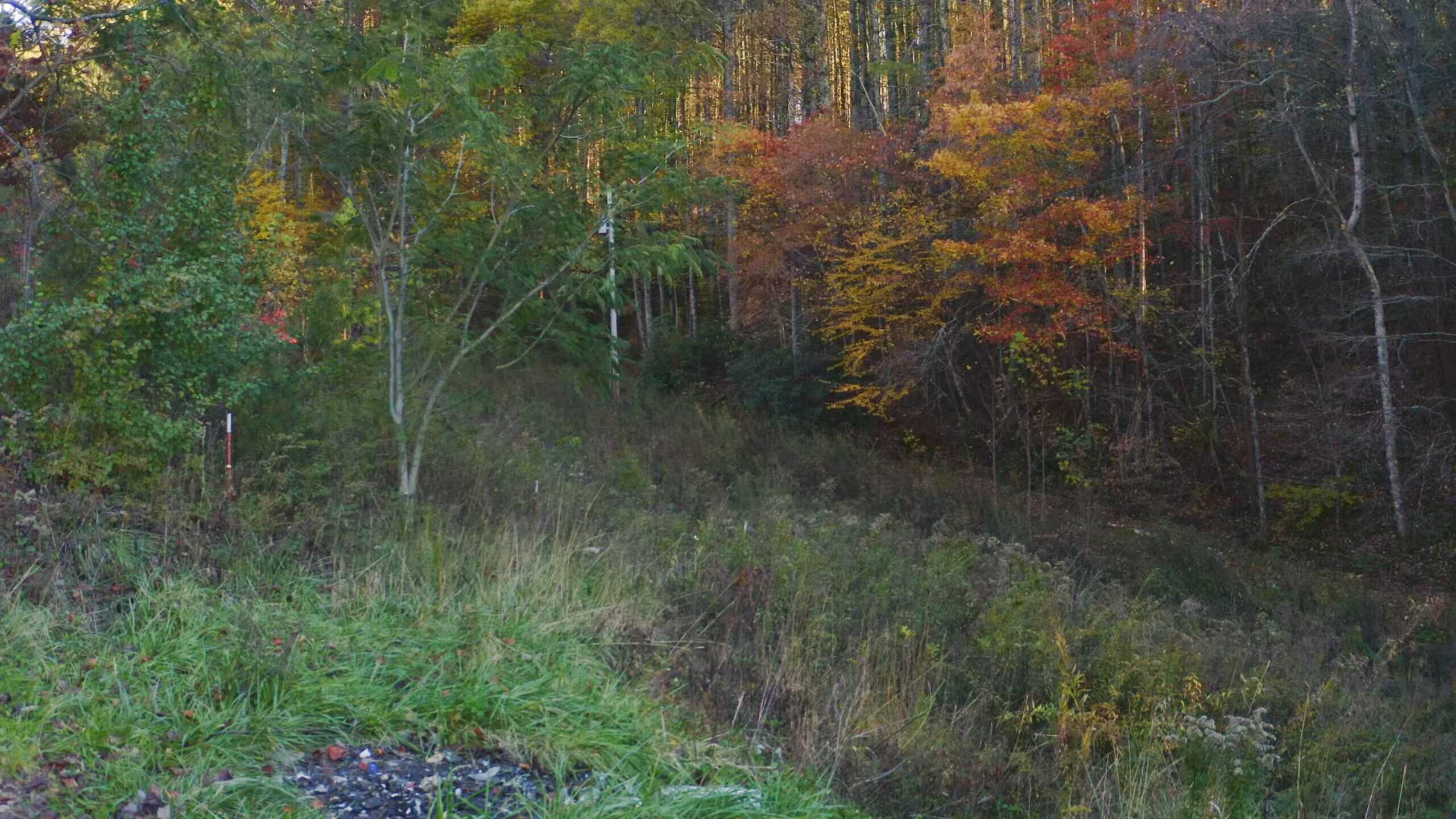 Where the Pavement Ends, and Your Legacy Begins: 116 Unrestricted Acres Bordering the Cherokee National Forest