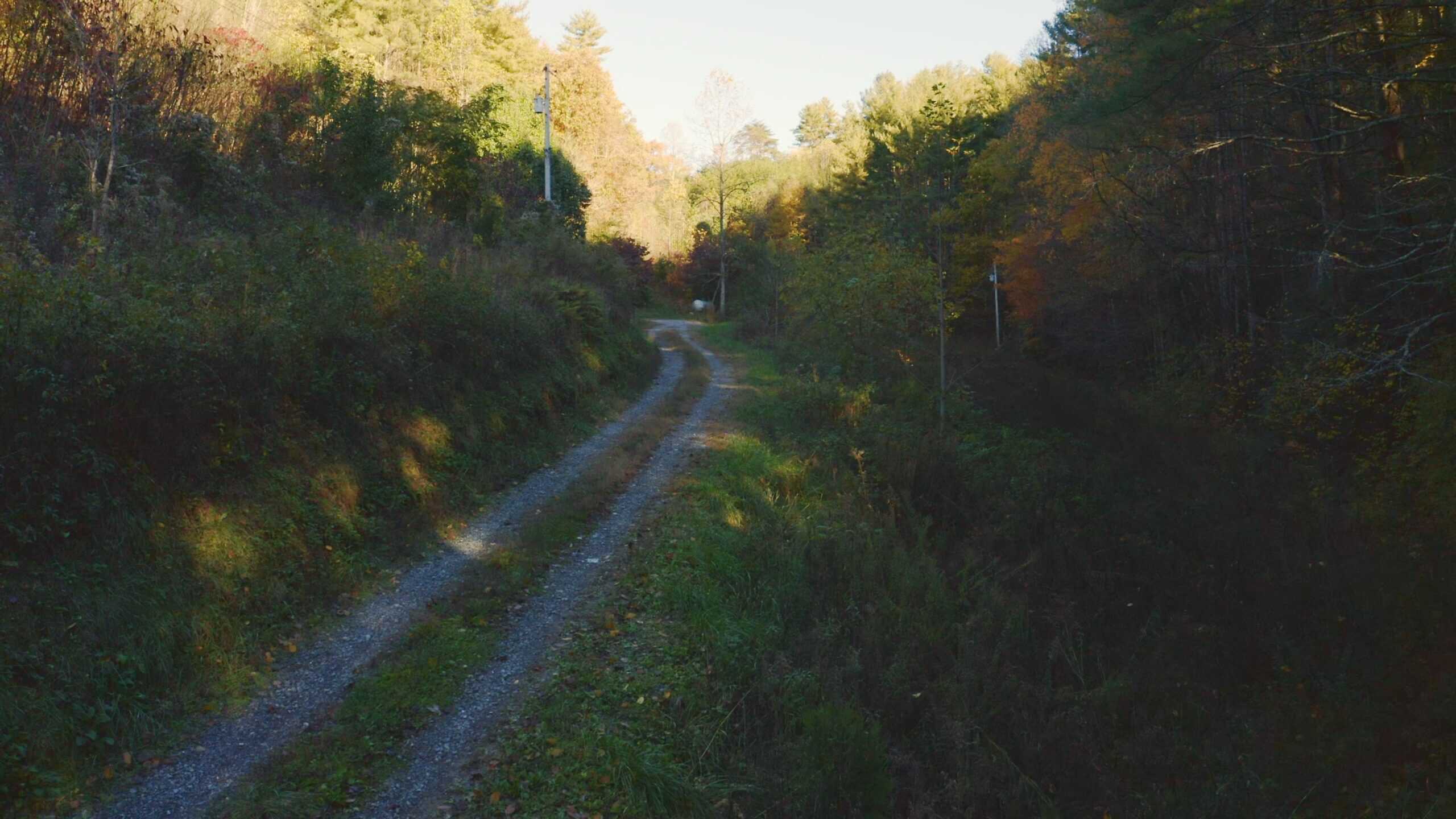 Where the Pavement Ends, and Your Legacy Begins: 116 Unrestricted Acres Bordering the Cherokee National Forest