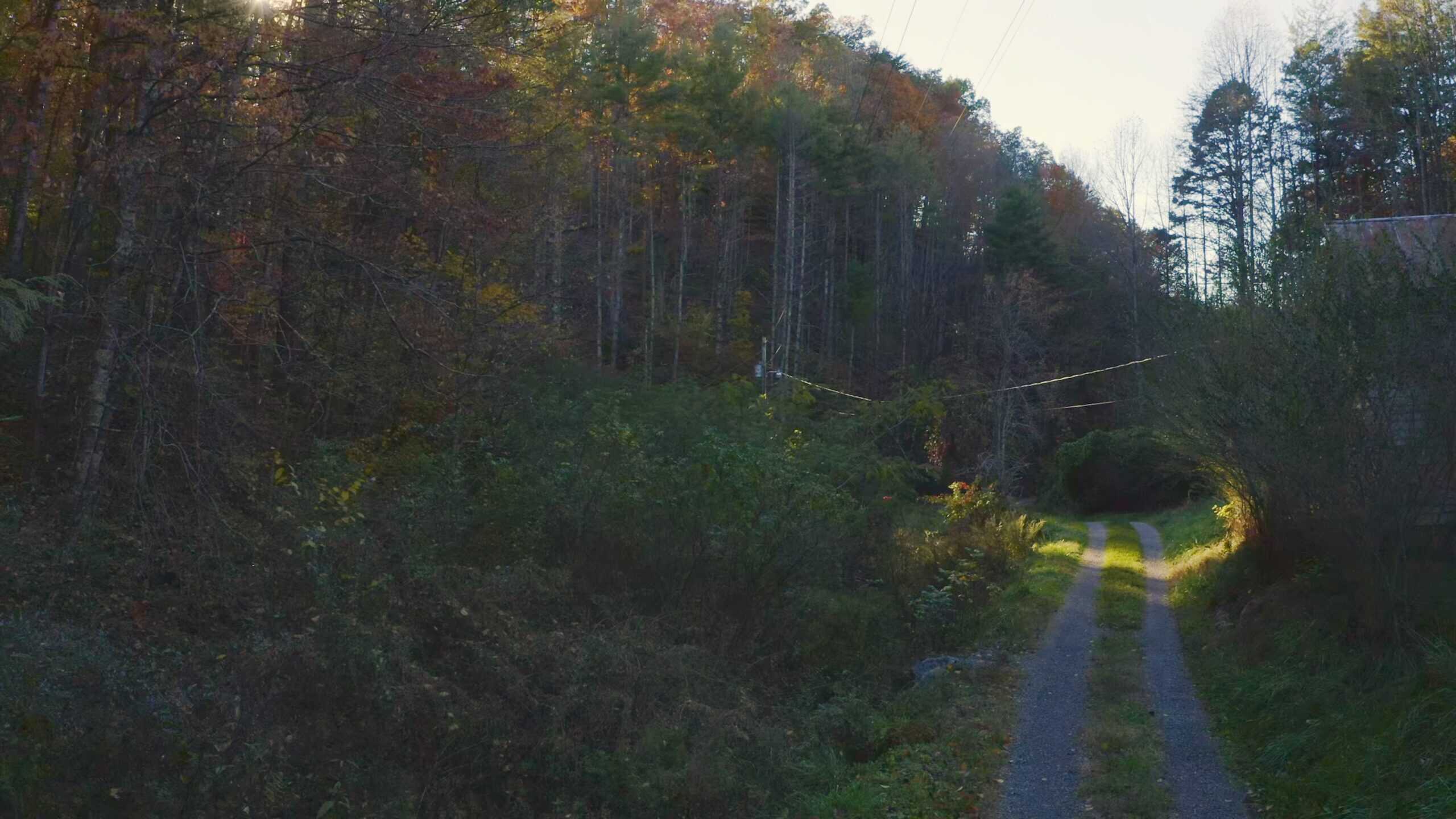 Where the Pavement Ends, and Your Legacy Begins: 116 Unrestricted Acres Bordering the Cherokee National Forest