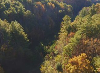 Where the Pavement Ends, and Your Legacy Begins: 116 Unrestricted Acres Bordering the Cherokee National Forest