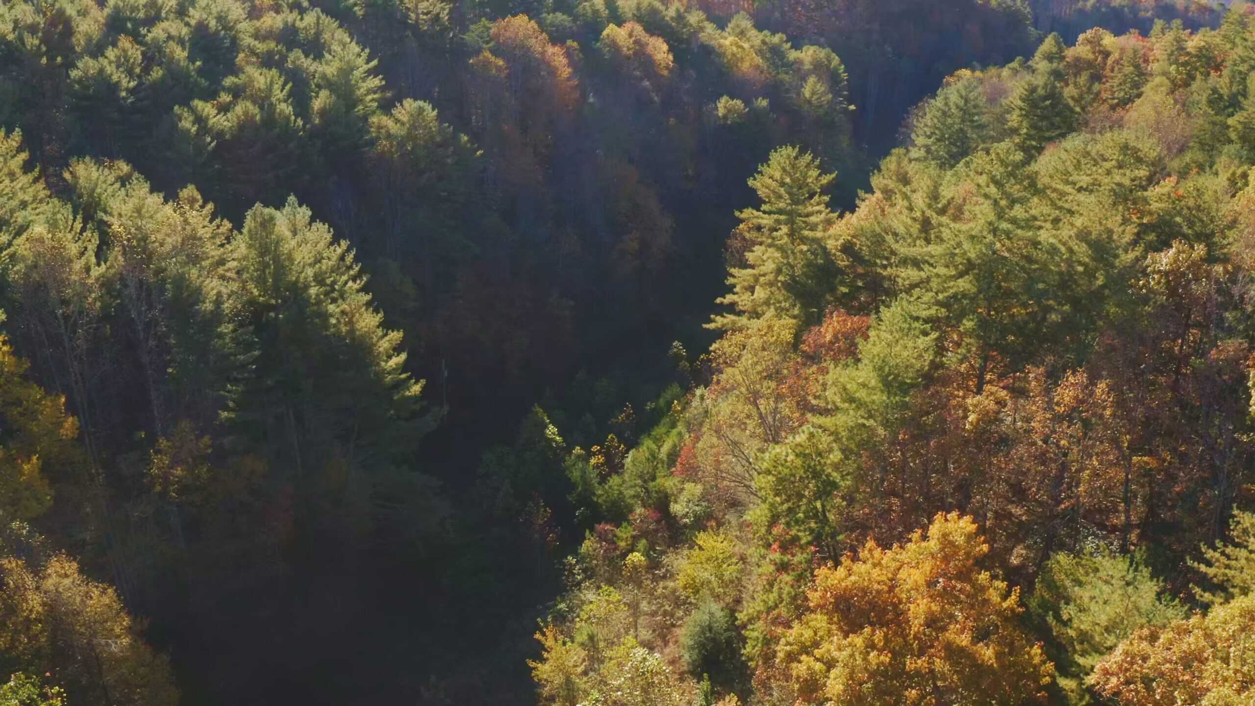 Where the Pavement Ends, and Your Legacy Begins: 116 Unrestricted Acres Bordering the Cherokee National Forest