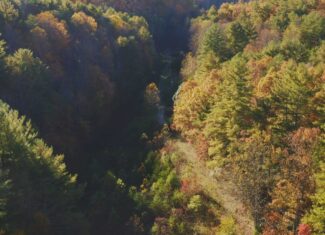 Where the Pavement Ends, and Your Legacy Begins: 116 Unrestricted Acres Bordering the Cherokee National Forest