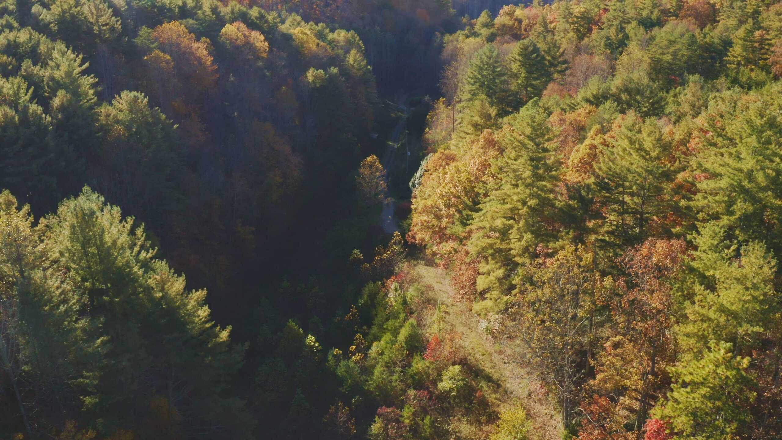 Where the Pavement Ends, and Your Legacy Begins: 116 Unrestricted Acres Bordering the Cherokee National Forest