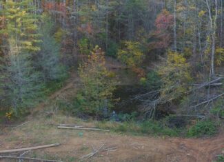 Where the Pavement Ends, and Your Legacy Begins: 116 Unrestricted Acres Bordering the Cherokee National Forest