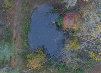 Where the Pavement Ends, and Your Legacy Begins: 116 Unrestricted Acres Bordering the Cherokee National Forest
