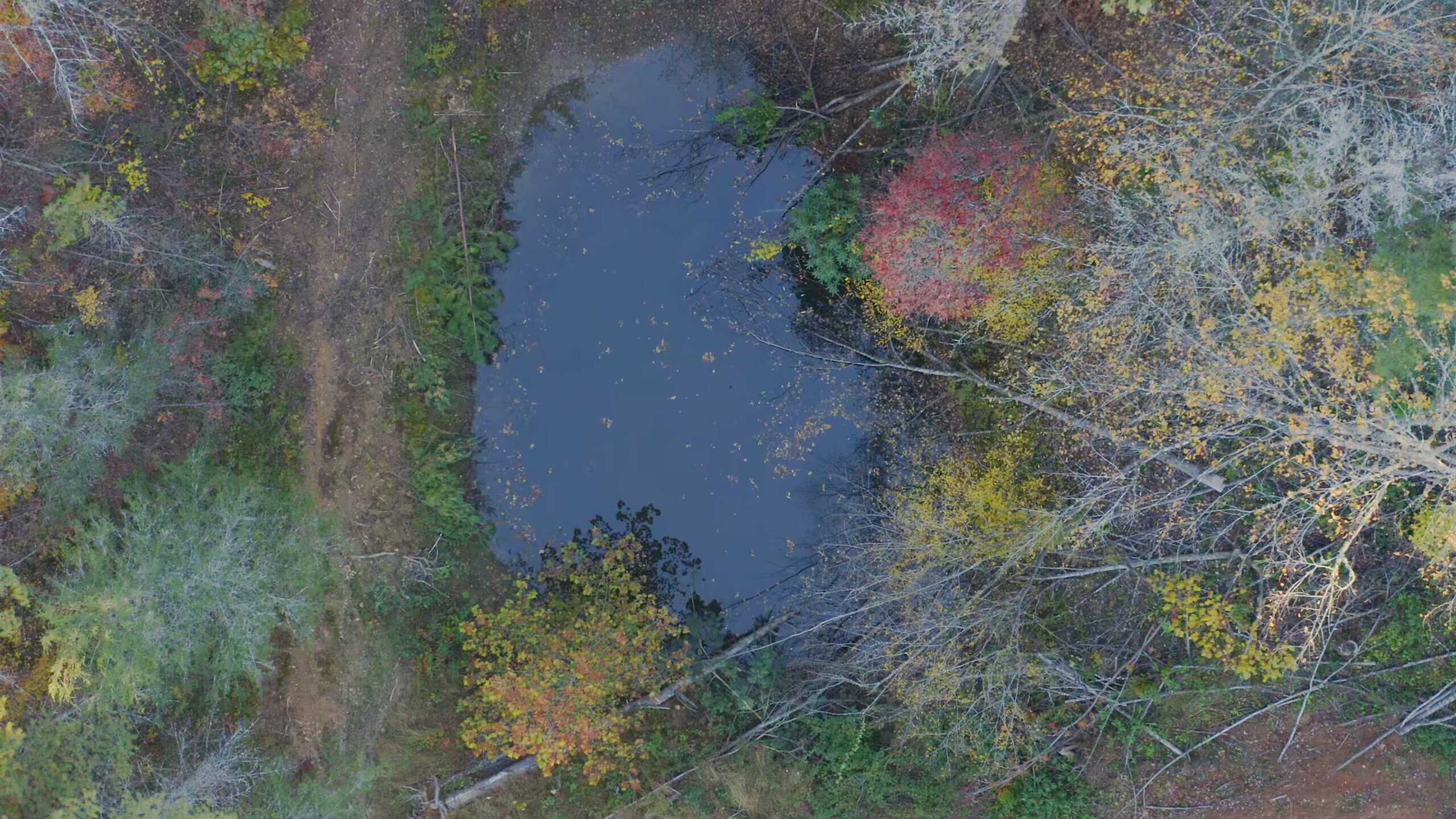 Where the Pavement Ends, and Your Legacy Begins: 116 Unrestricted Acres Bordering the Cherokee National Forest