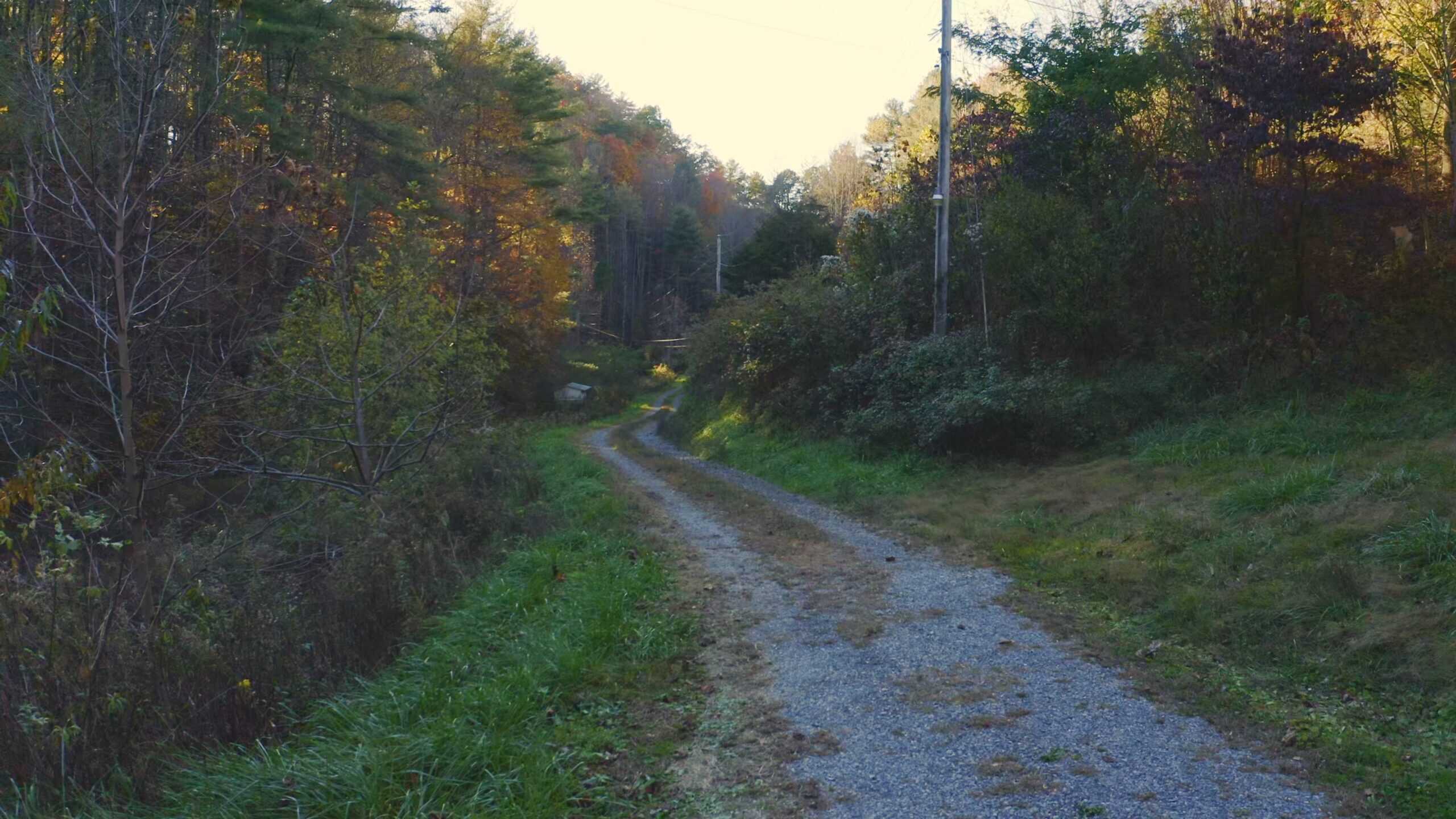 Where the Pavement Ends, and Your Legacy Begins: 116 Unrestricted Acres Bordering the Cherokee National Forest