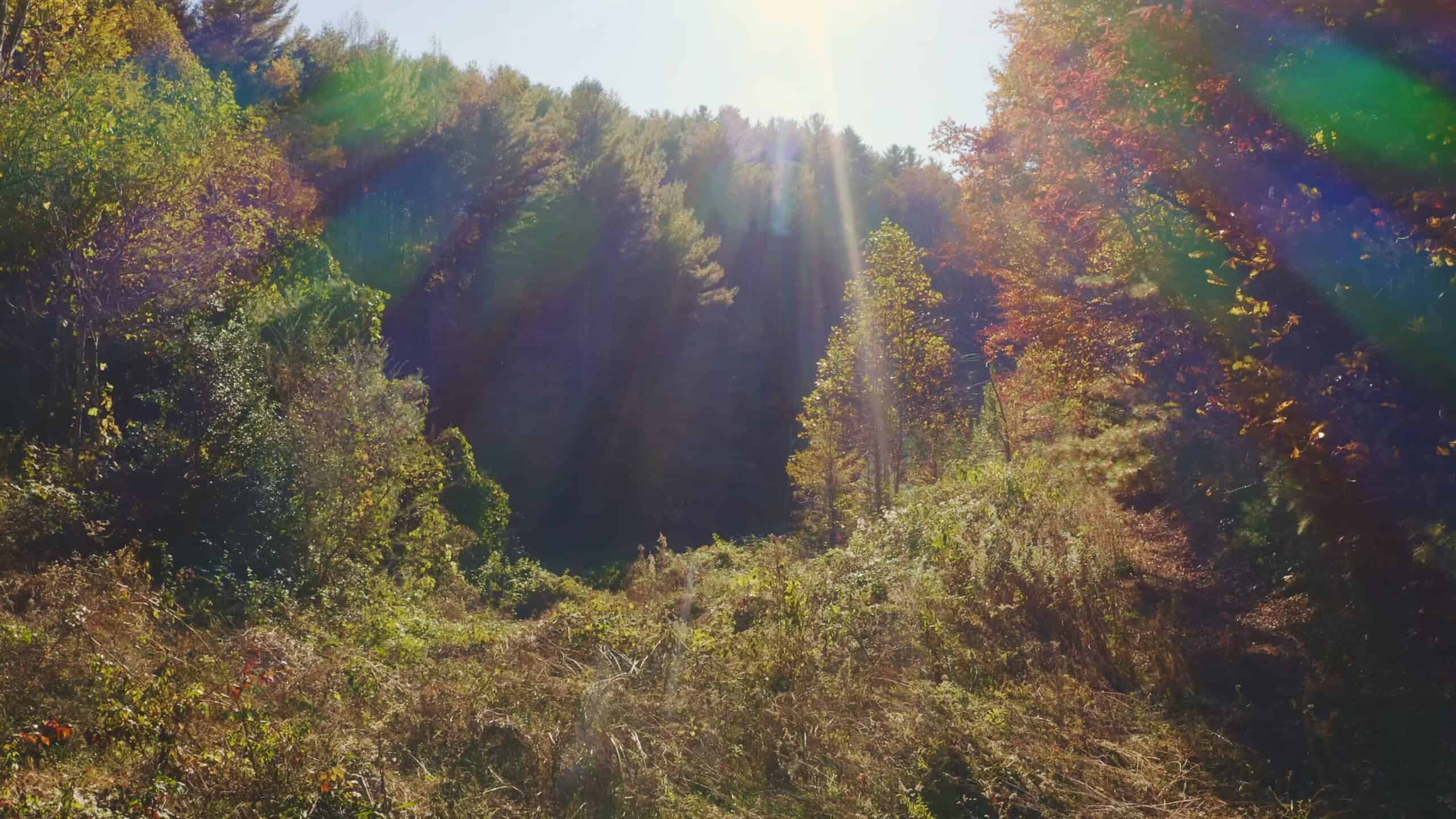 Where the Pavement Ends, and Your Legacy Begins: 116 Unrestricted Acres Bordering the Cherokee National Forest