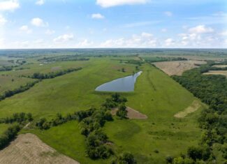 Wayne County, Iowa – High-Income CRP Farm with Big Deer History and 8-Acre Lake