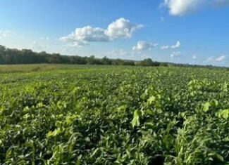 Wayne County, Iowa – High-Income CRP Farm with Big Deer History and 8-Acre Lake