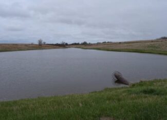 Wayne County, Iowa – High-Income CRP Farm with Big Deer History and 8-Acre Lake