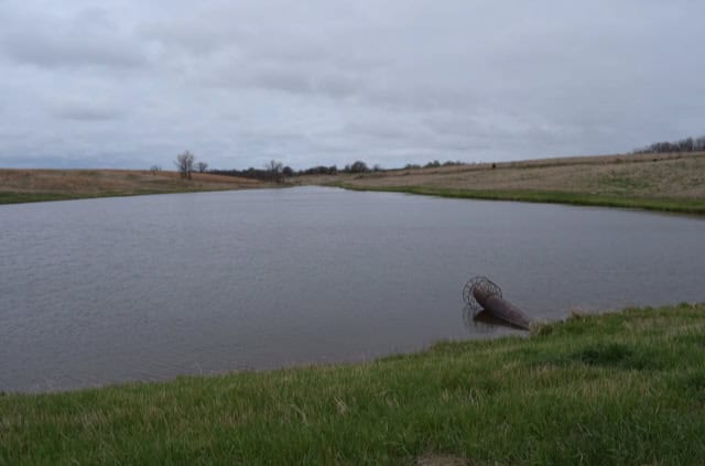 Wayne County, Iowa – High-Income CRP Farm with Big Deer History and 8-Acre Lake