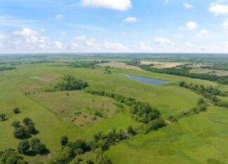Wayne County, Iowa – High-Income CRP Farm with Big Deer History and 8-Acre Lake