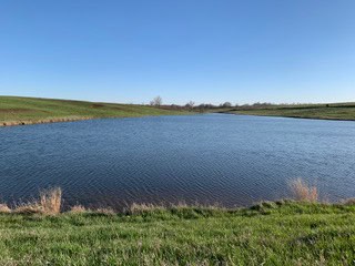 Wayne County, Iowa – High-Income CRP Farm with Big Deer History and 8-Acre Lake